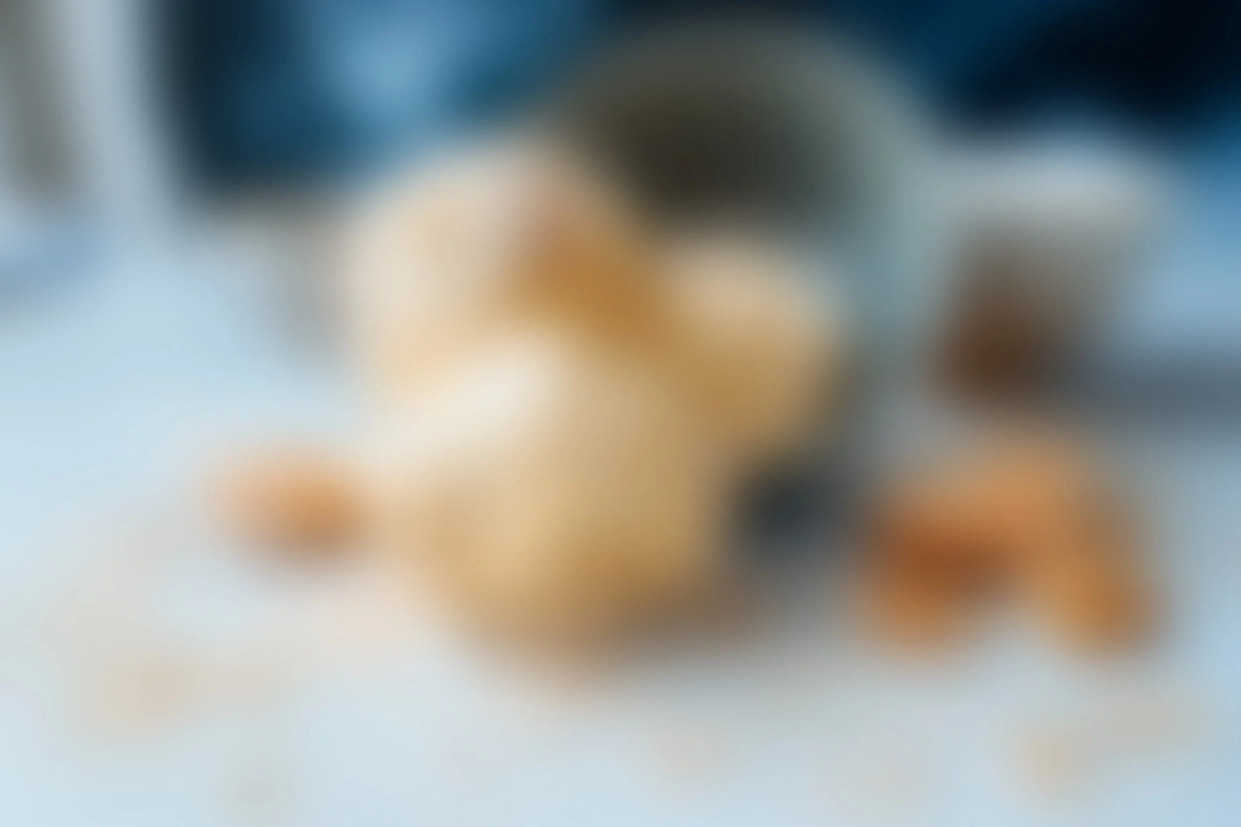 Rotating weekly ice cream flavors handcrafted in-house at Theo’s Microcreamery in Uptown Normal