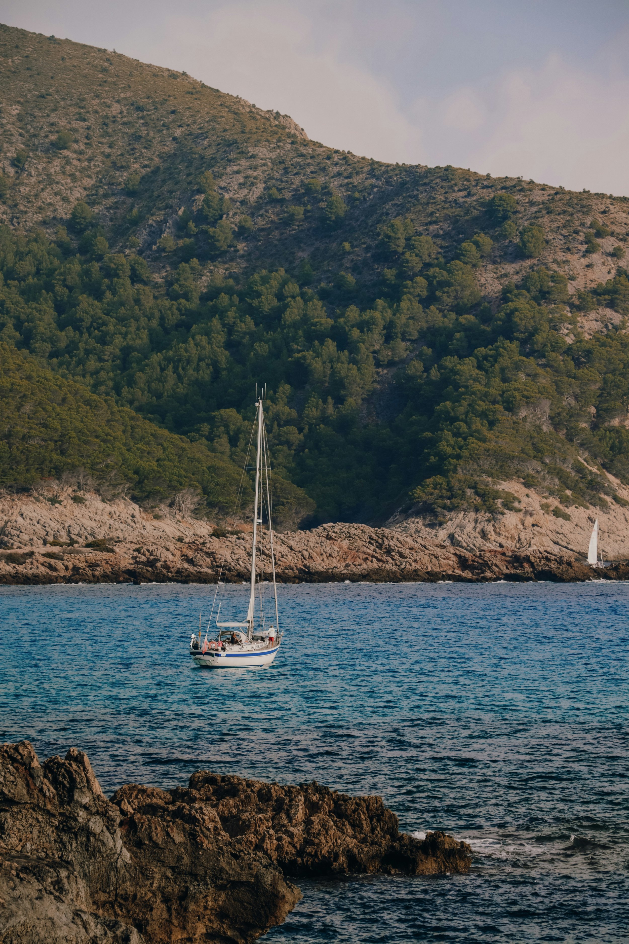 anna-2s05UVy2Cwc-unsplash.jpg