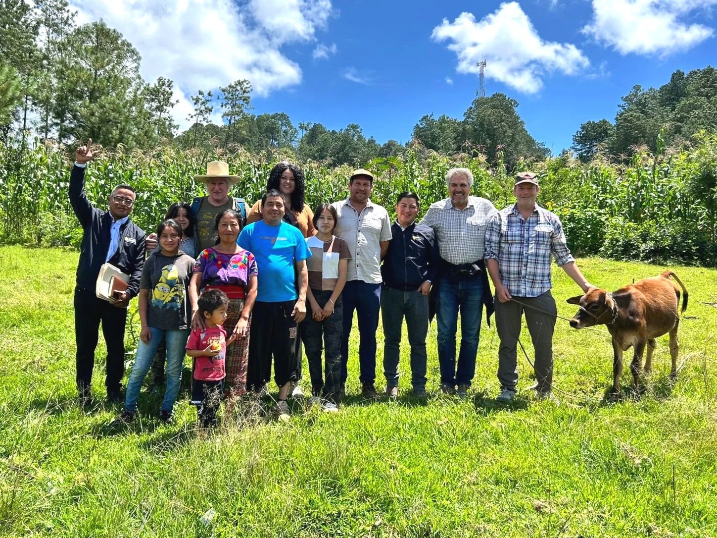 A group of people standing outdoors in a grassy area with a cornfield and trees in the background, under a partly cloudy sky, with a cow on a leash to the right on a group tour in Guatemala.