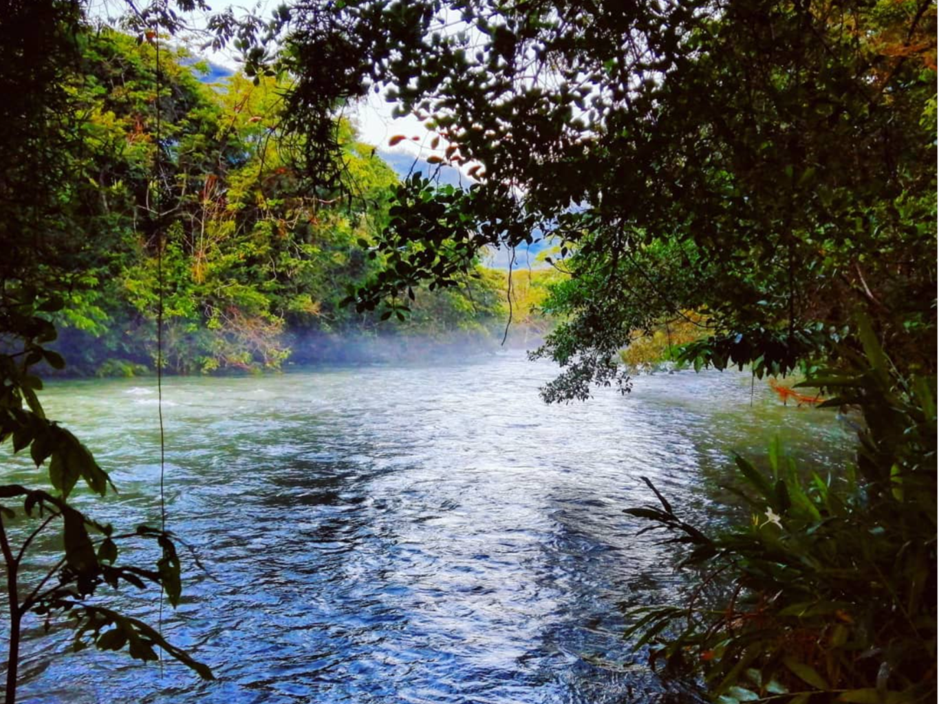 Guatemala weather can be misty and warm in the jungle