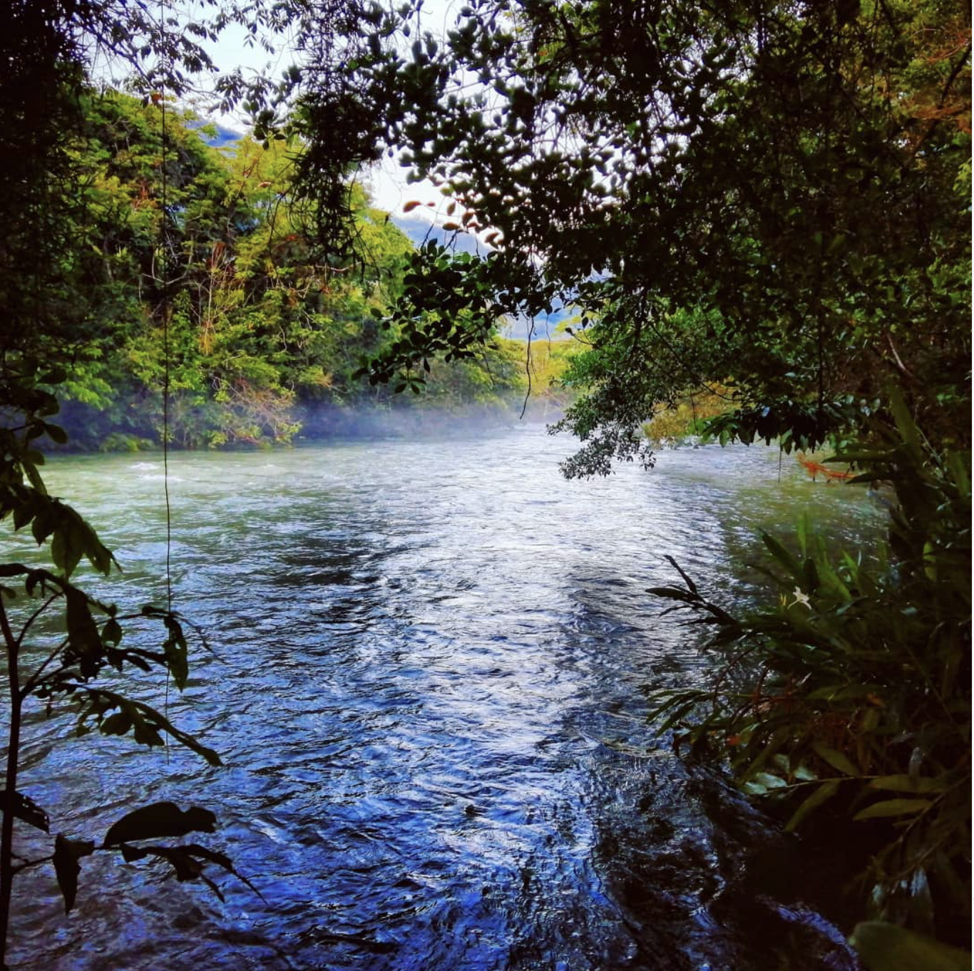 A beautiful river has a misty fog above it in the Alta Verapaz, Guatemala.