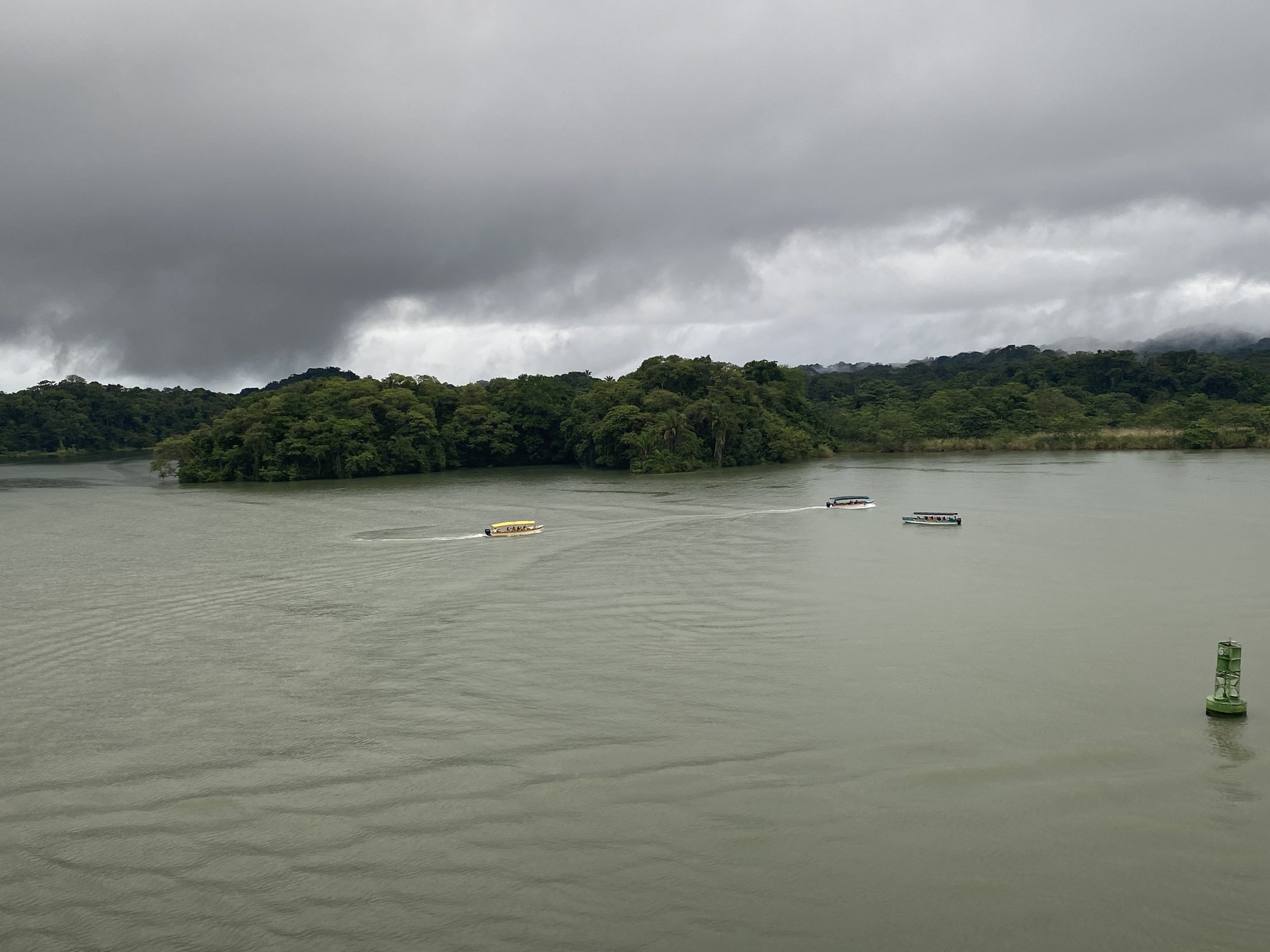 Monkey watching tours and the jungle of Gatun Lake  