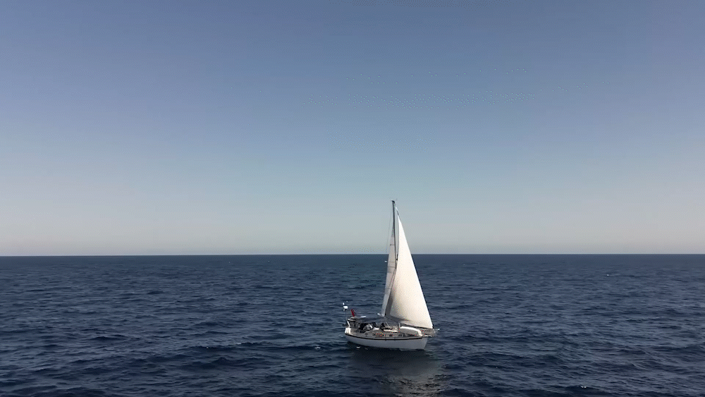 Google Year in Search 2025