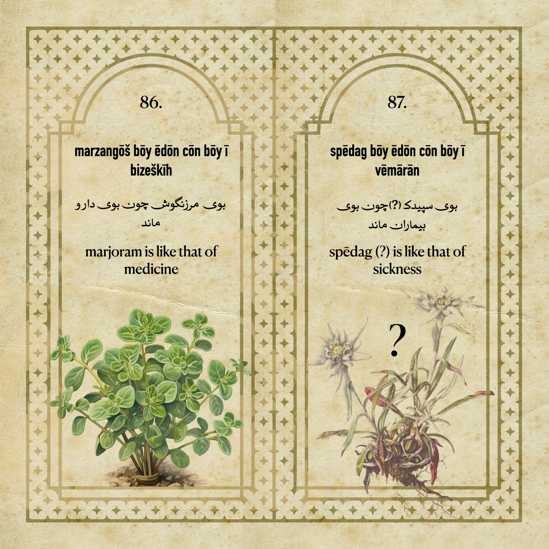 Flowers Fragrances of the Sasanian Persians