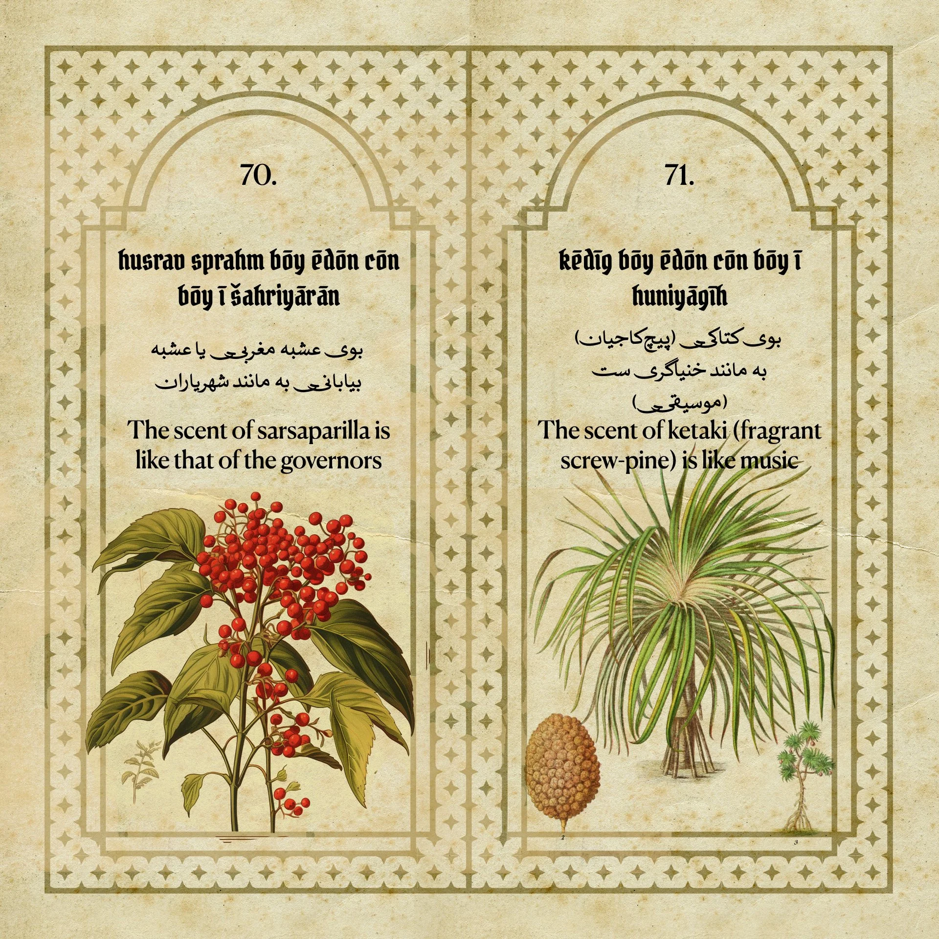 Sarsaparilla, and Ketaki Flowers Fragrances of the Sasanian Persians