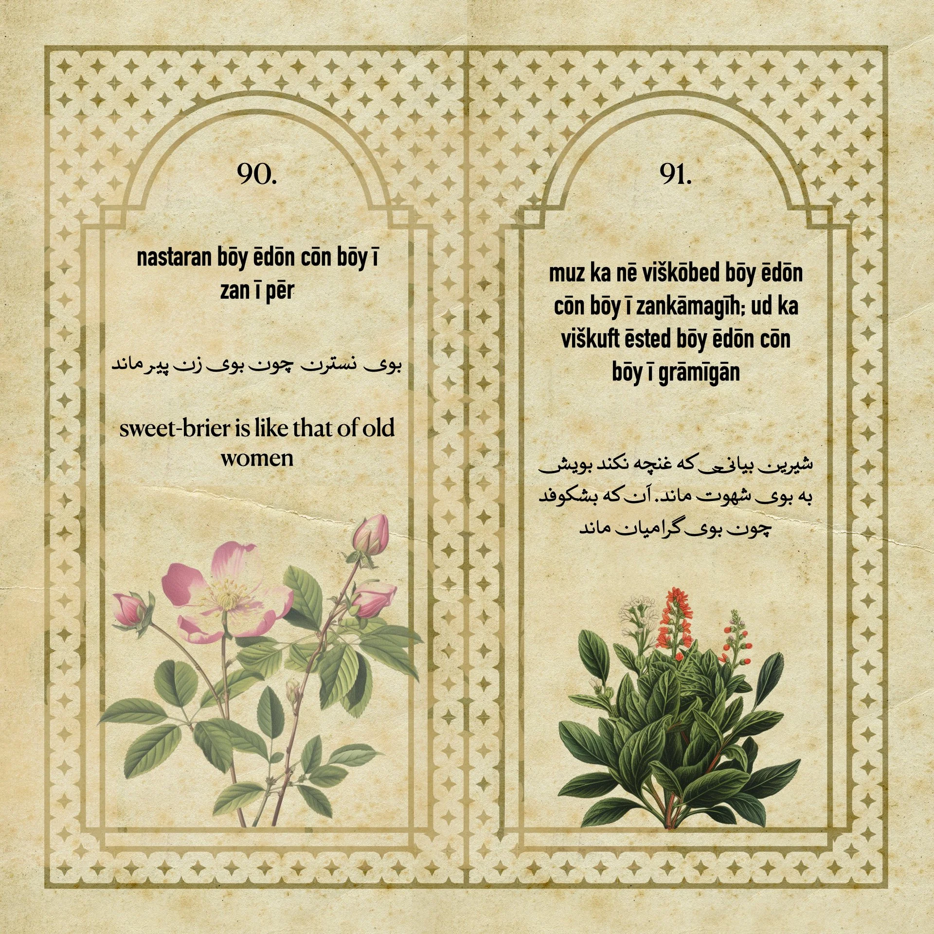 Flowers Fragrances of the Sasanian Persians