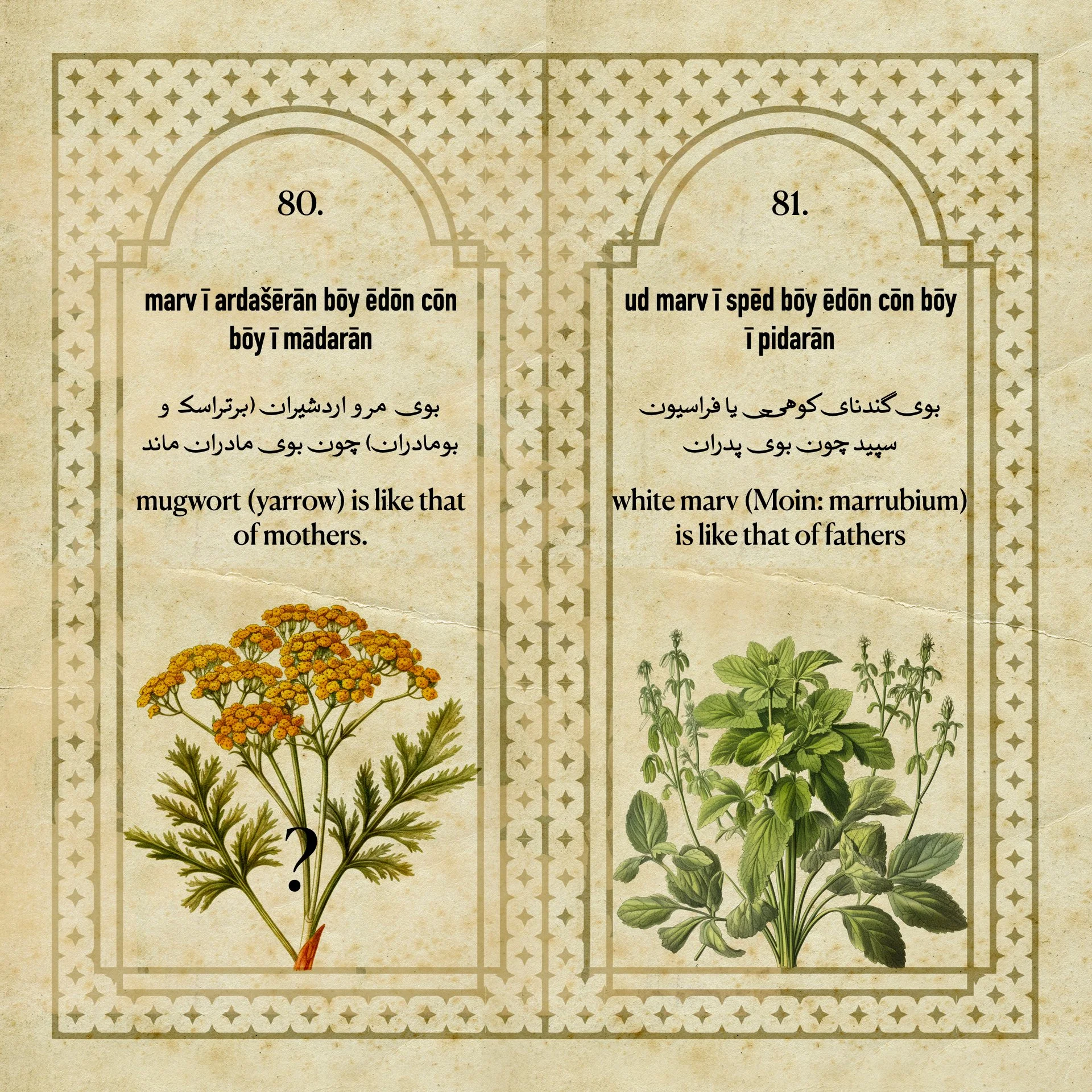 Flowers Fragrances of the Sasanian Persians