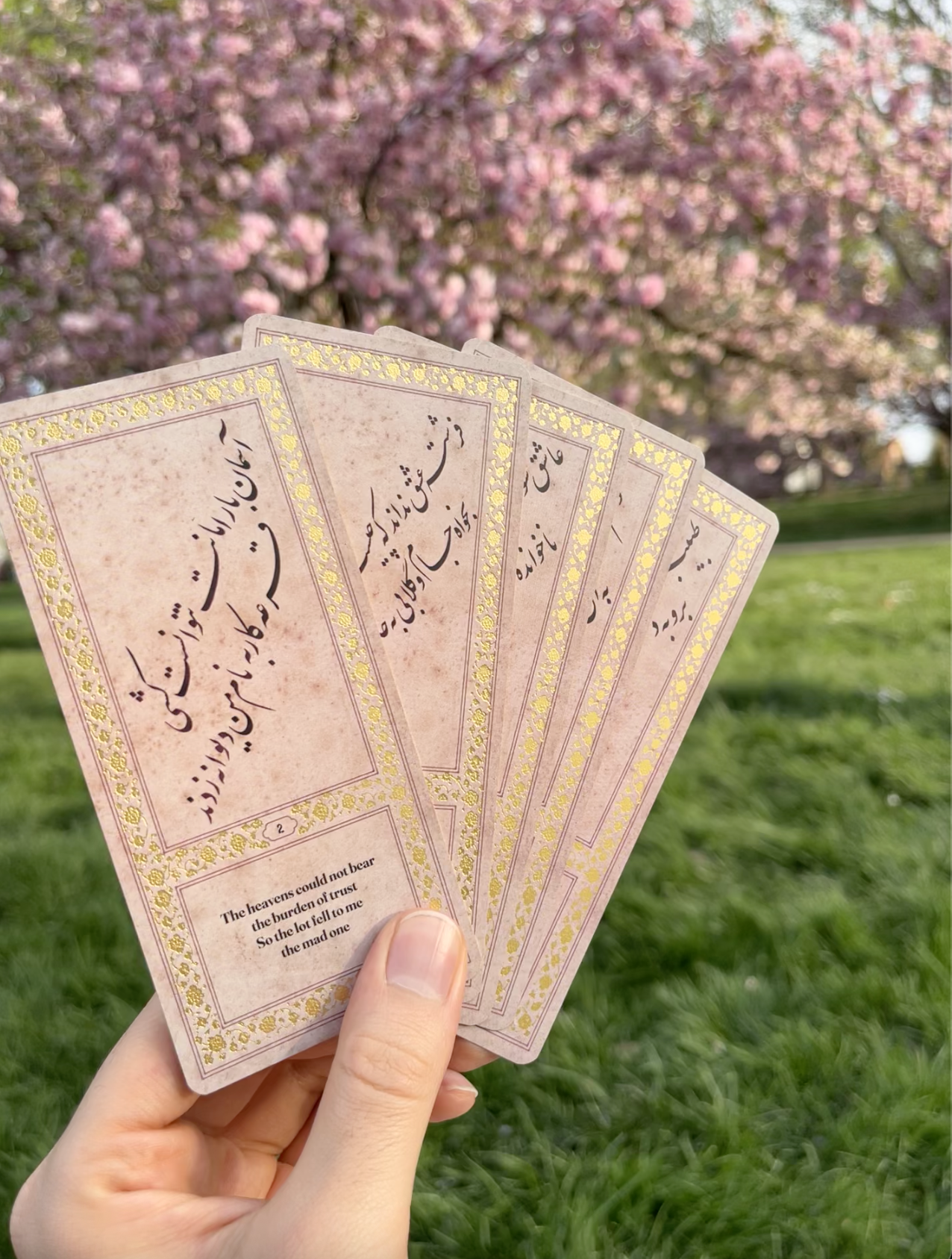 Hafez Divination Cards