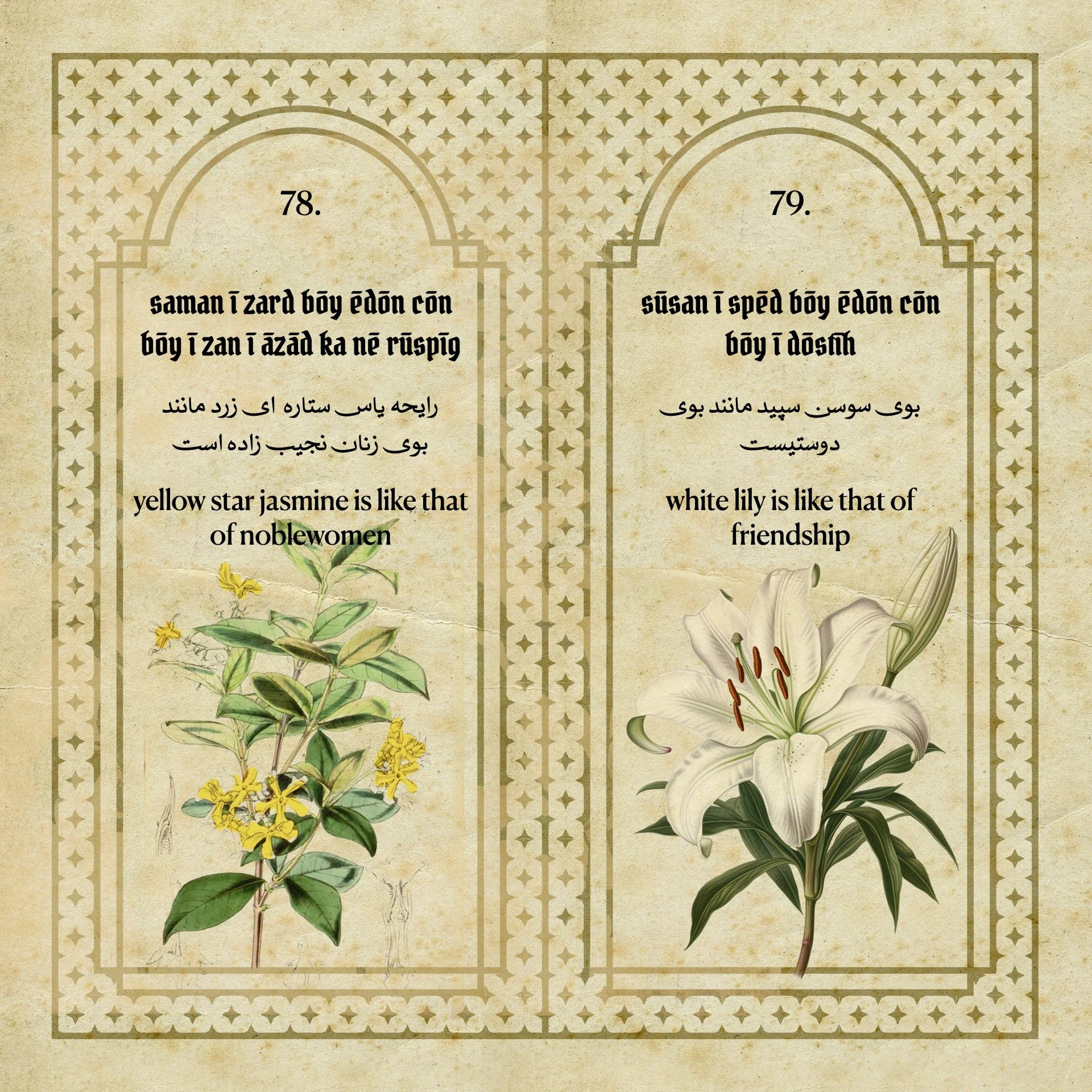 Flowers Fragrances of the Sasanian Persians