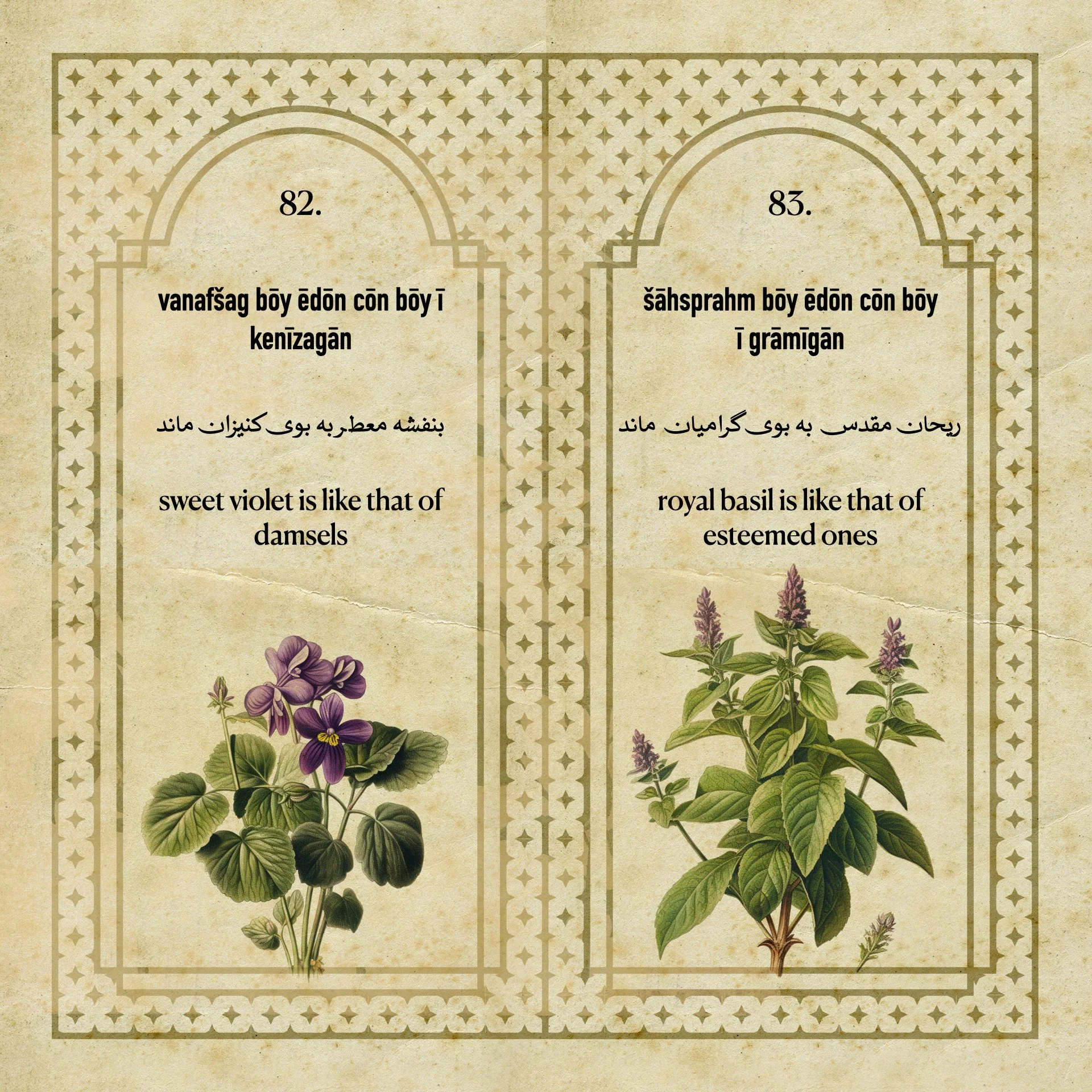 Flowers Fragrances of the Sasanian Persians