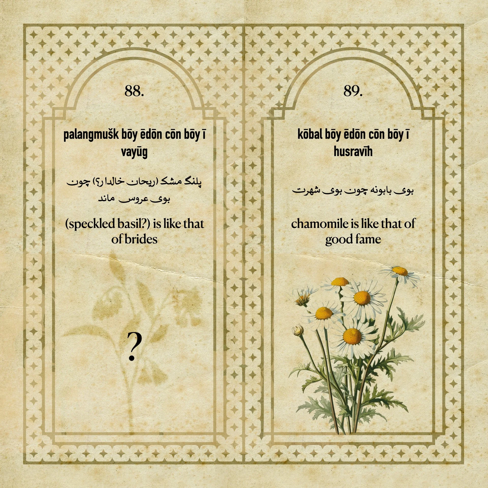 Flowers Fragrances of the Sasanian Persians