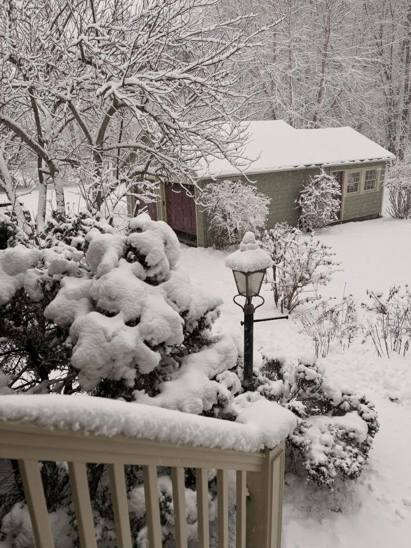 For the second day in a row, it&rsquo;s a winter wonderland out there and a great morning to stay off our roads. Yesterday we took the train and ran into many local residents along the way. Both in New York City and on the train, which folks were usi