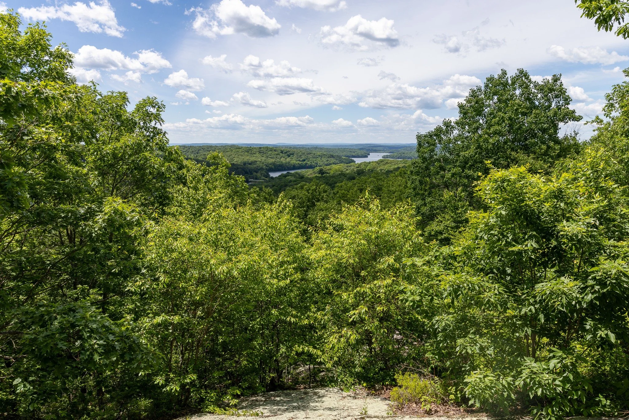 A new bench has landed in Ward Pound Ridge just in time for the summer season. The lookout spot on the LL trail, with its panoramic views of Cross River Reservoir, has been without a bench for two seasons. The Chase family, with a generous donation b