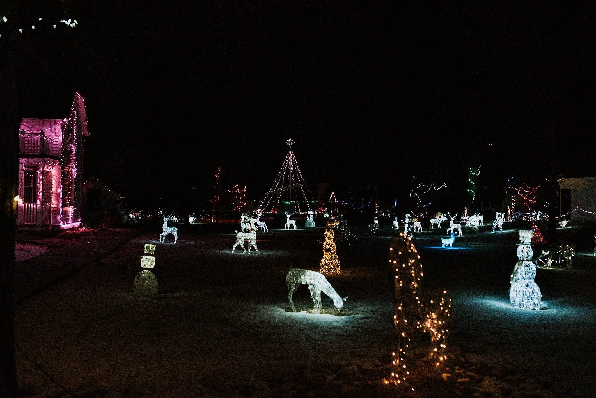 Leduc Country Lights 2021 — Lana Palmer