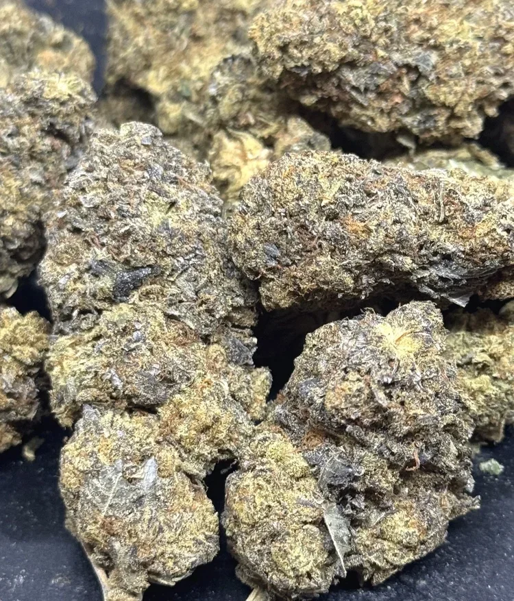 Black Truffle - Indica 70$ oz