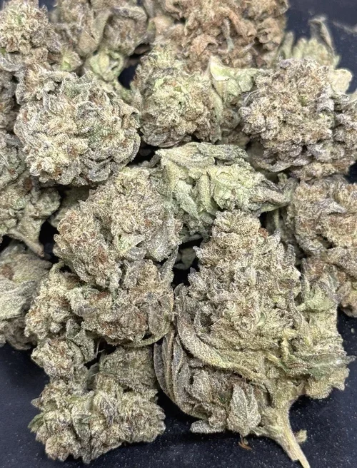 thumbnail_IMG_6188 (1).webp