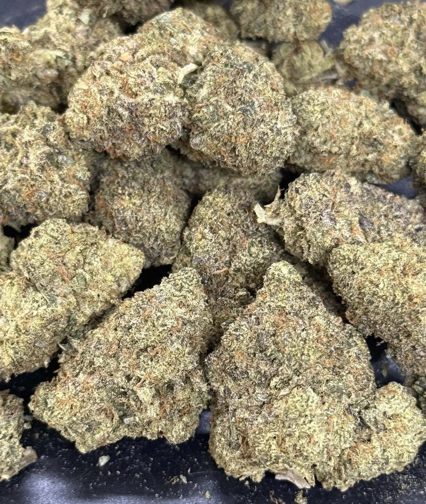 thumbnail_IMG_6337 (1).webp