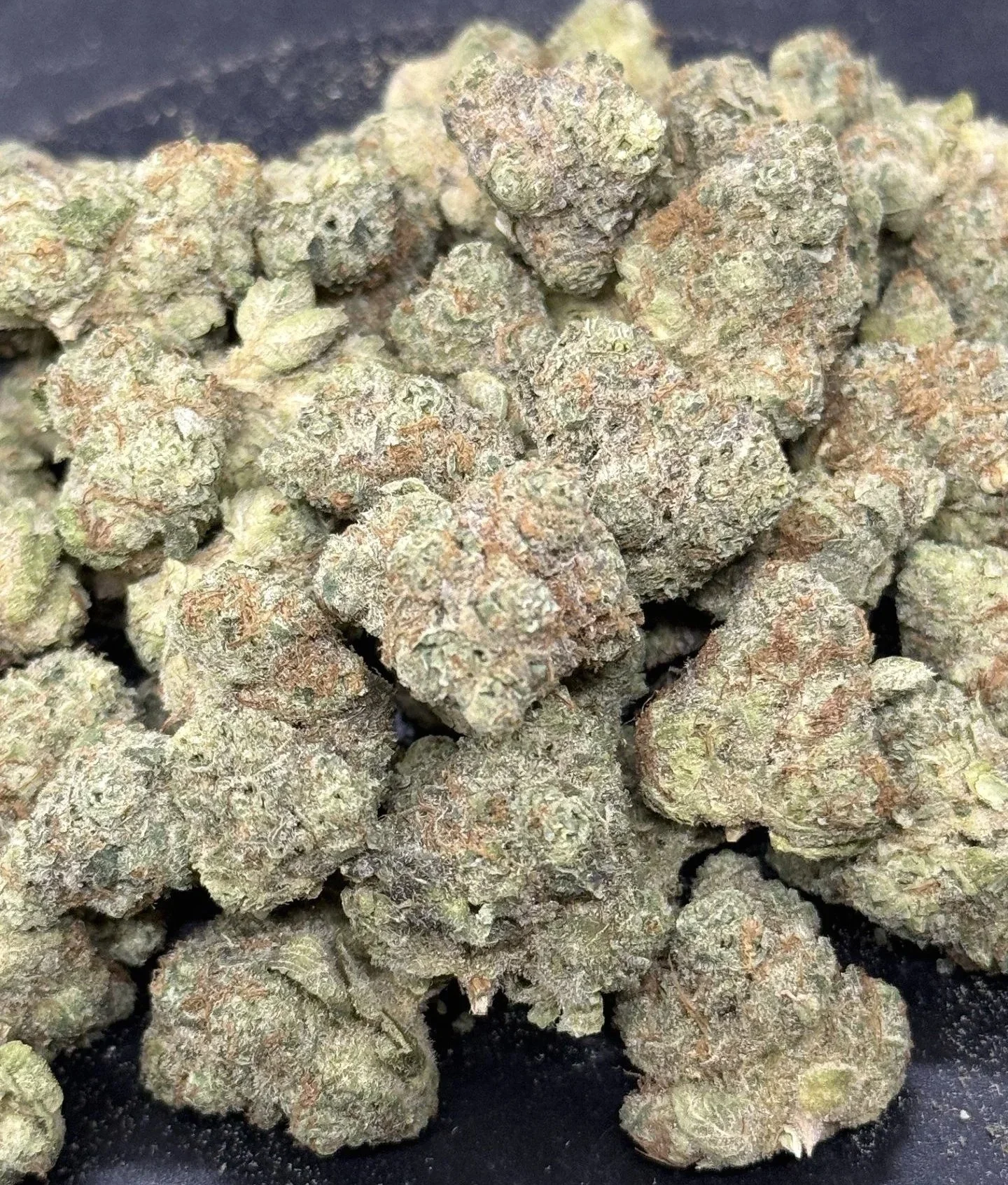 Blizzard Of Oz - Indica 105$ oz (SALE)