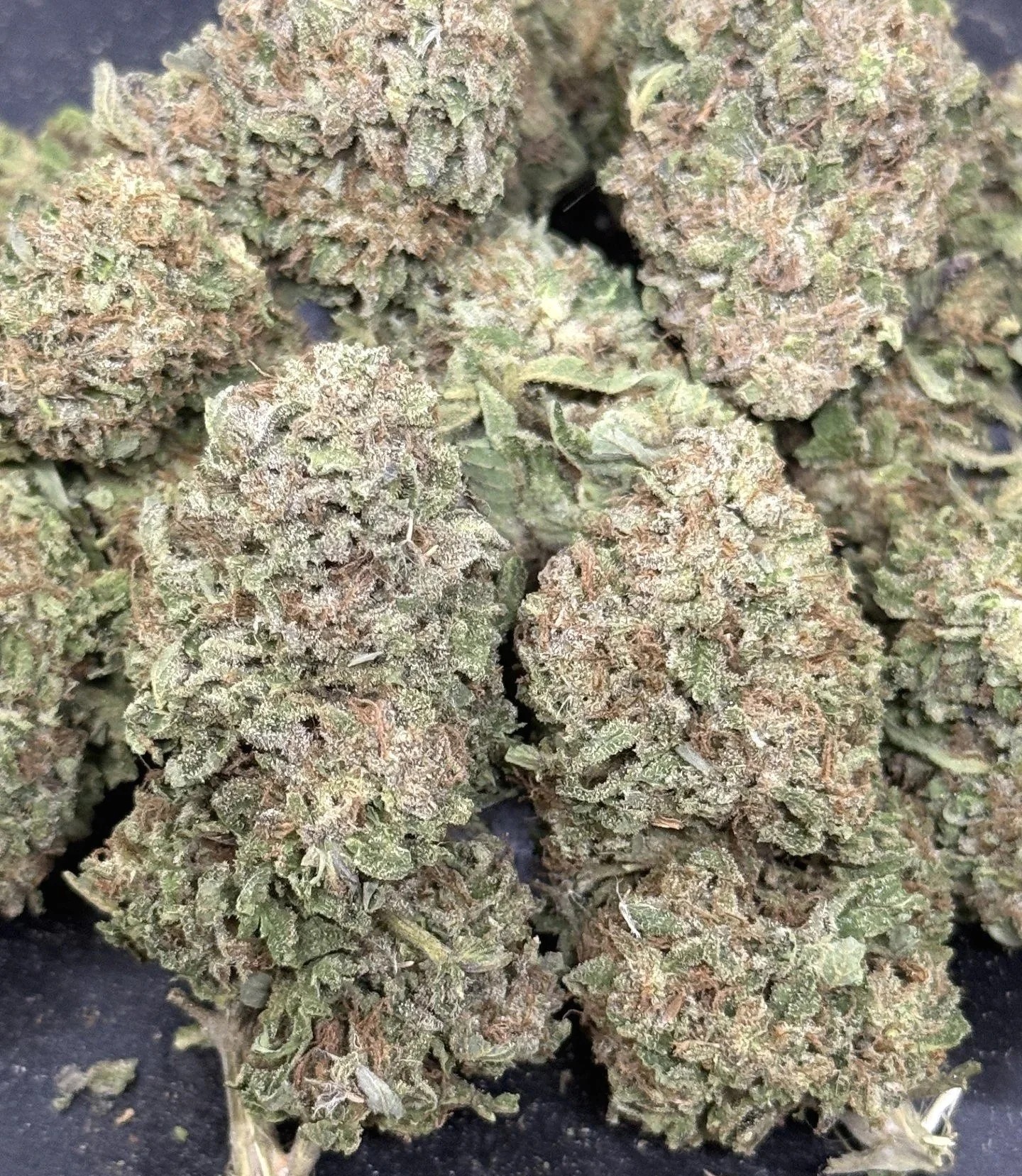 thumbnail_IMG_6034.jpg (Copy)