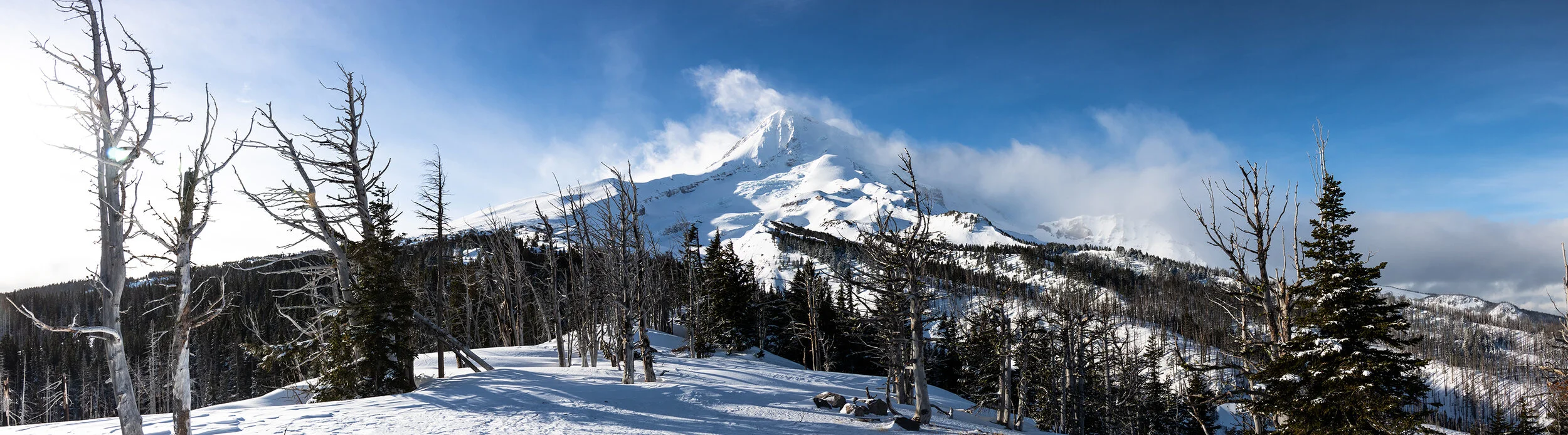 Hood Pano from Cloud Cap 2019 copy.jpg
