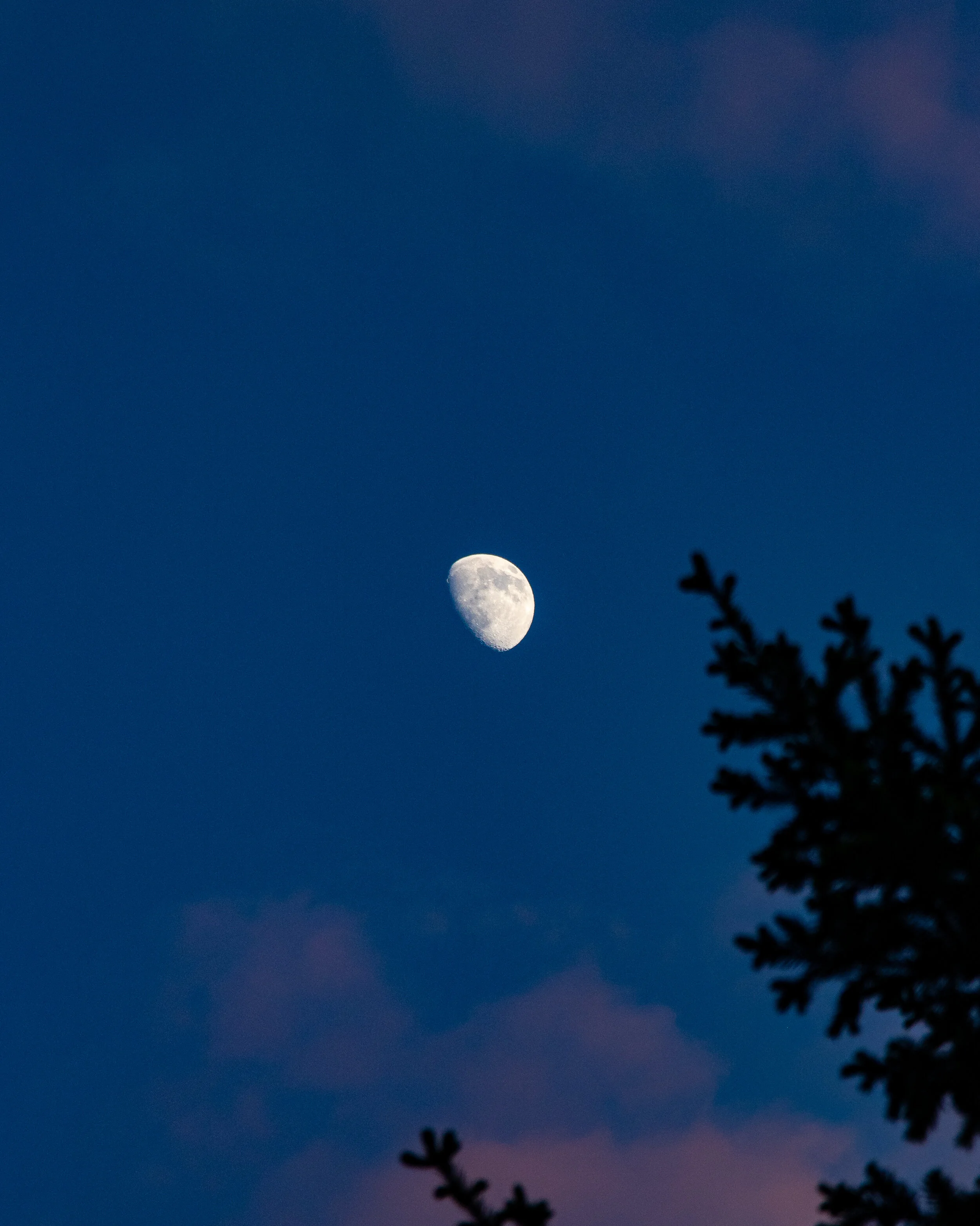 IMG_5423.jpg