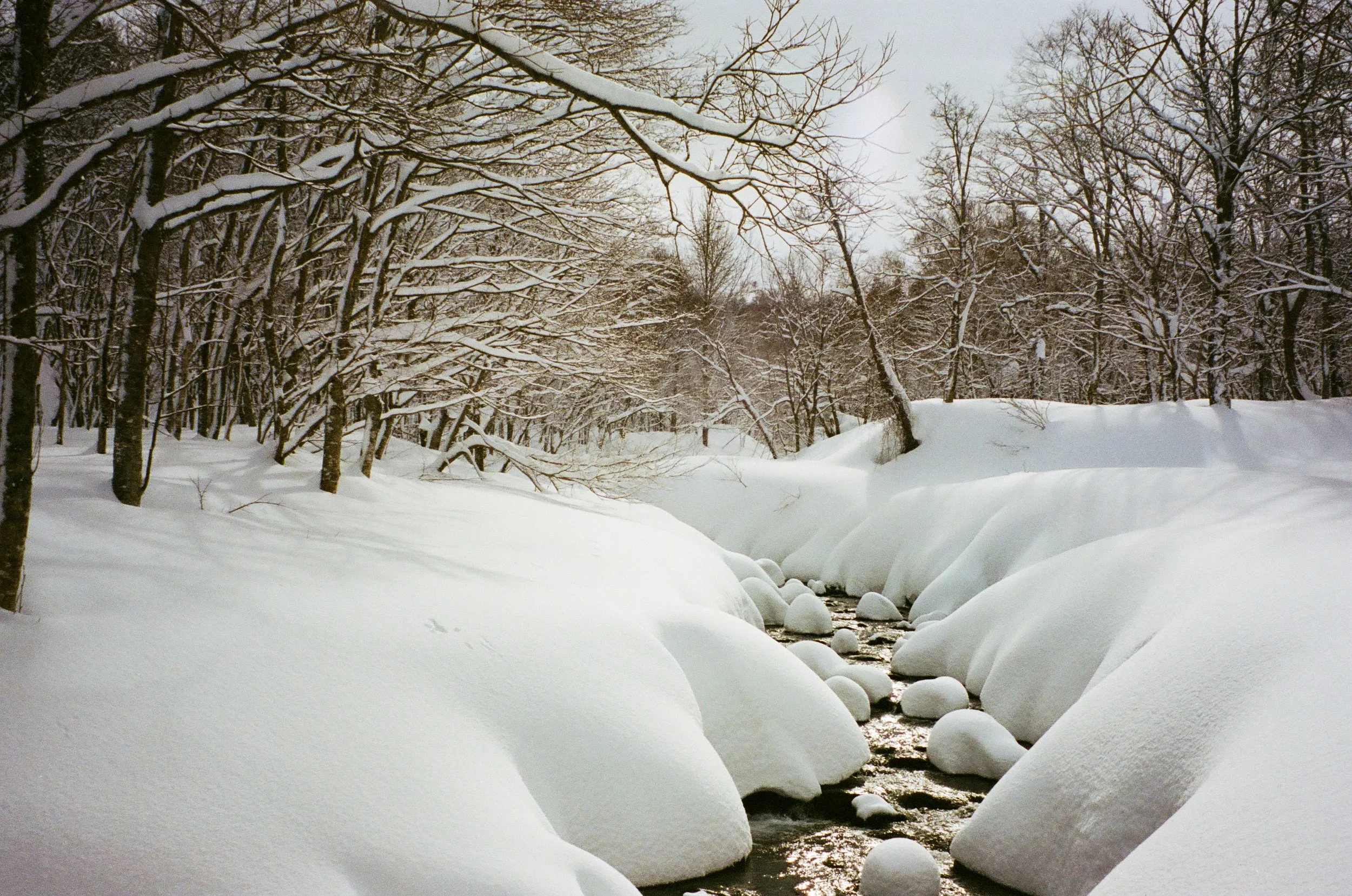 creek landscape.JPG