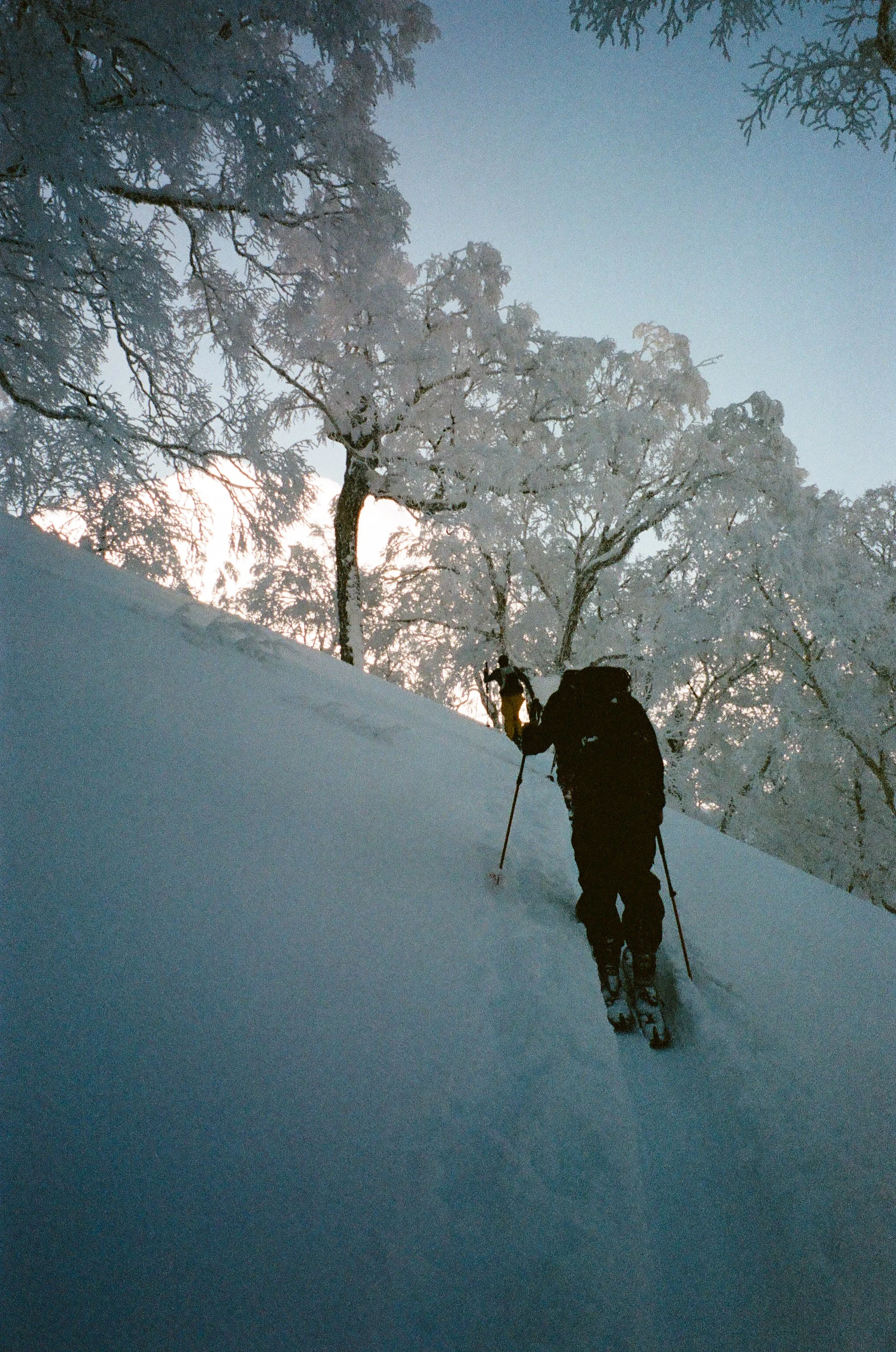 tour up from behind.JPG