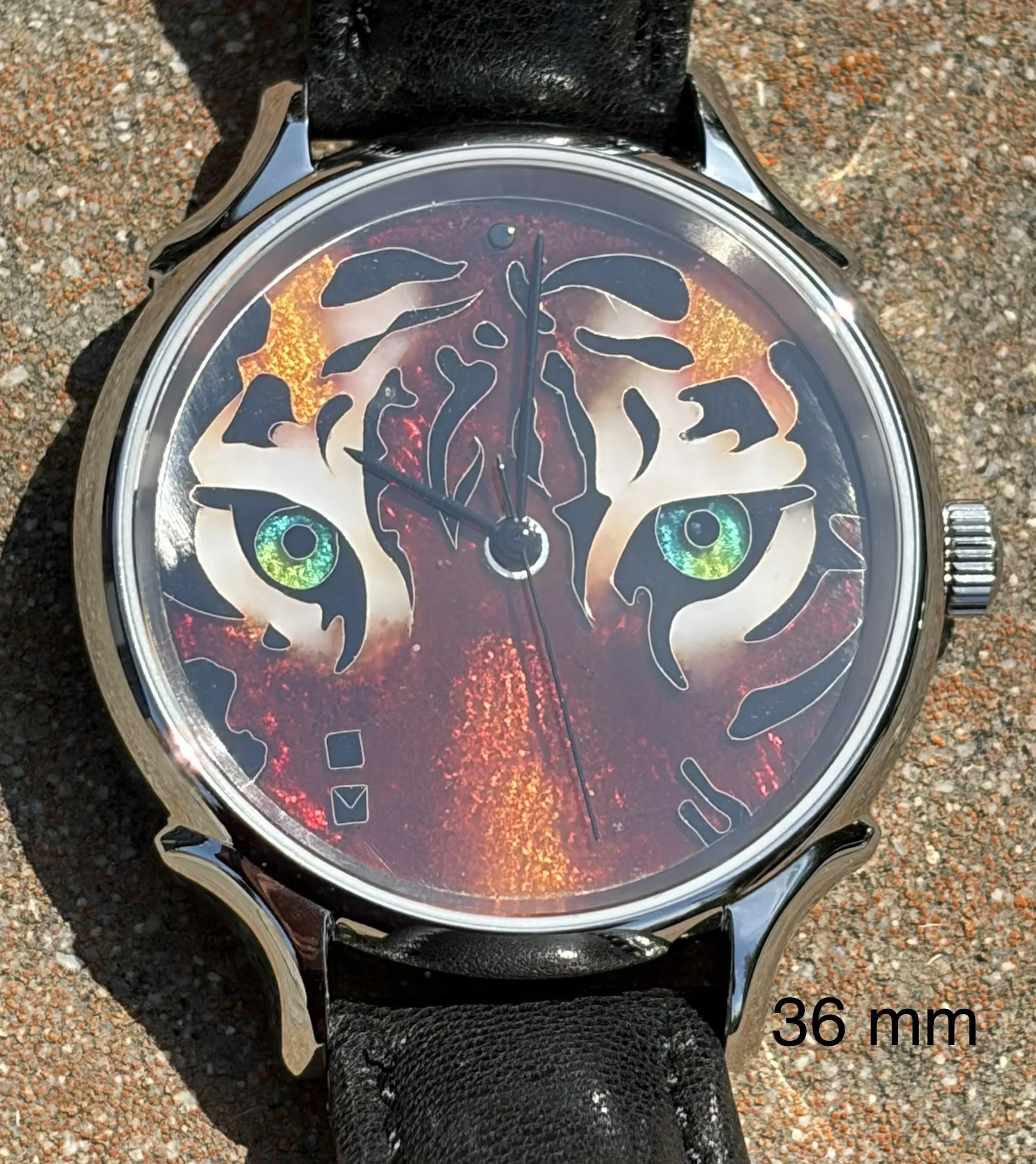 tiger 36 mm.jpg