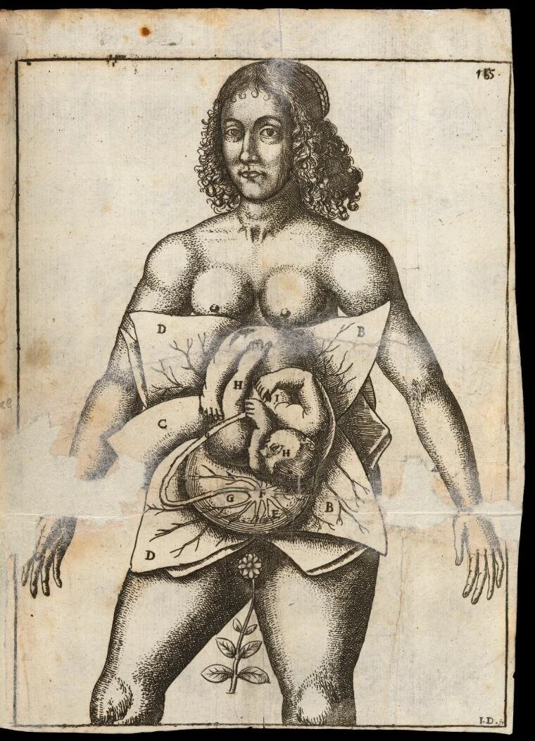 Jane Sharp.jpeg
