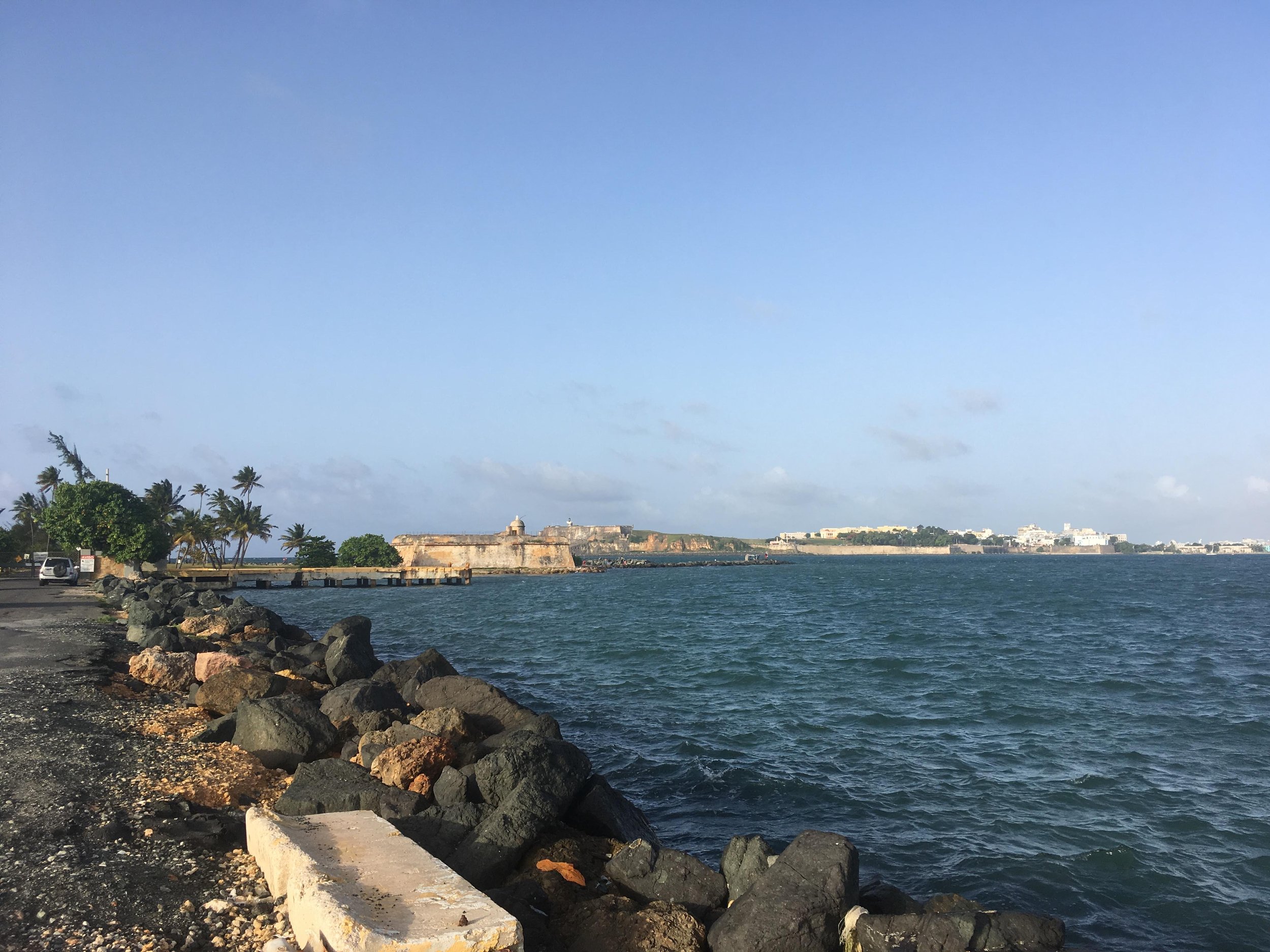 “La Negrita”: A History of African Girlhood in the Spanish Caribbean Slave Trade - Dr. Elise A. Mitchell - 2nd March