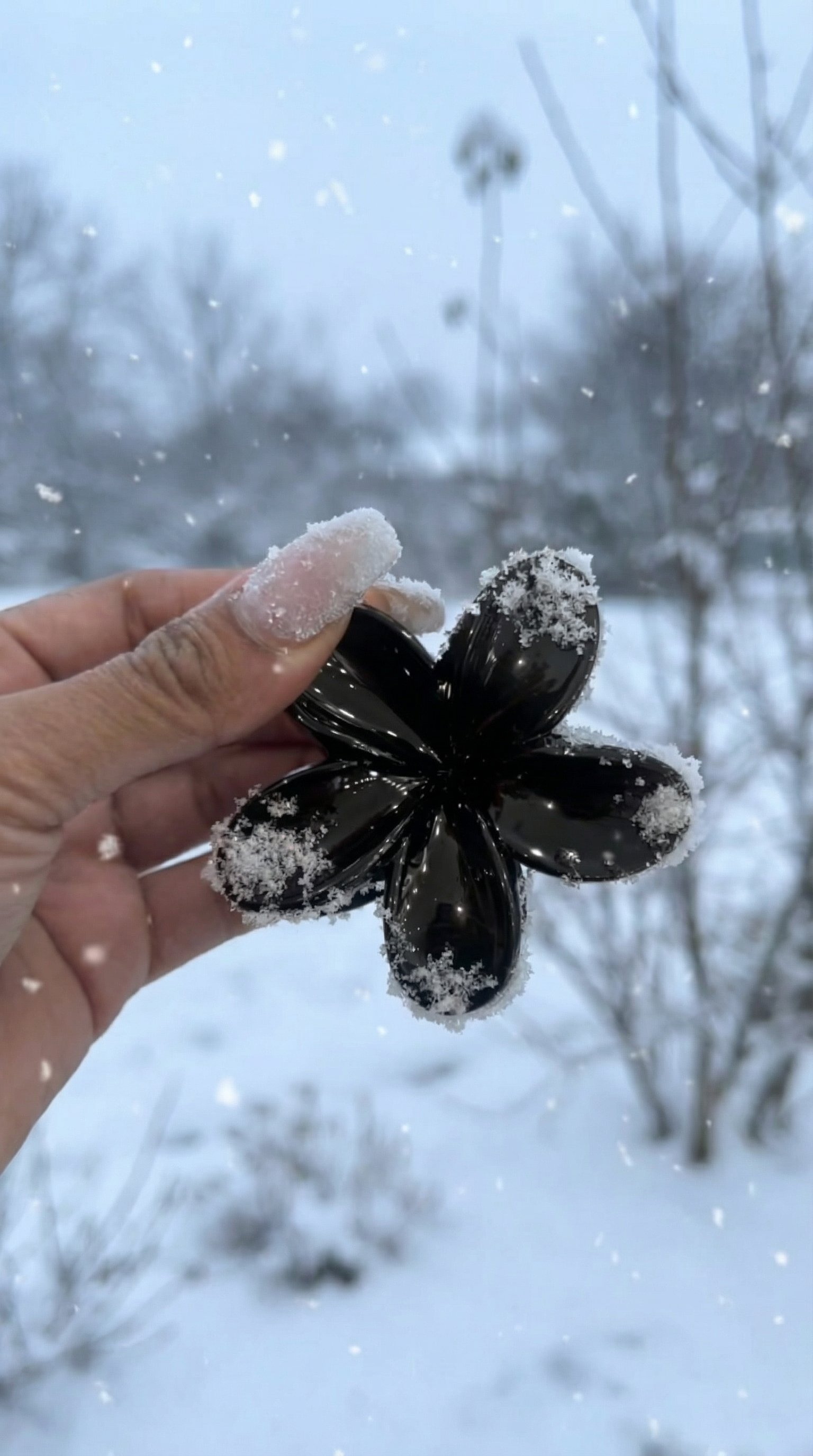 EDITHLEX FLOWER TO GO CLIP