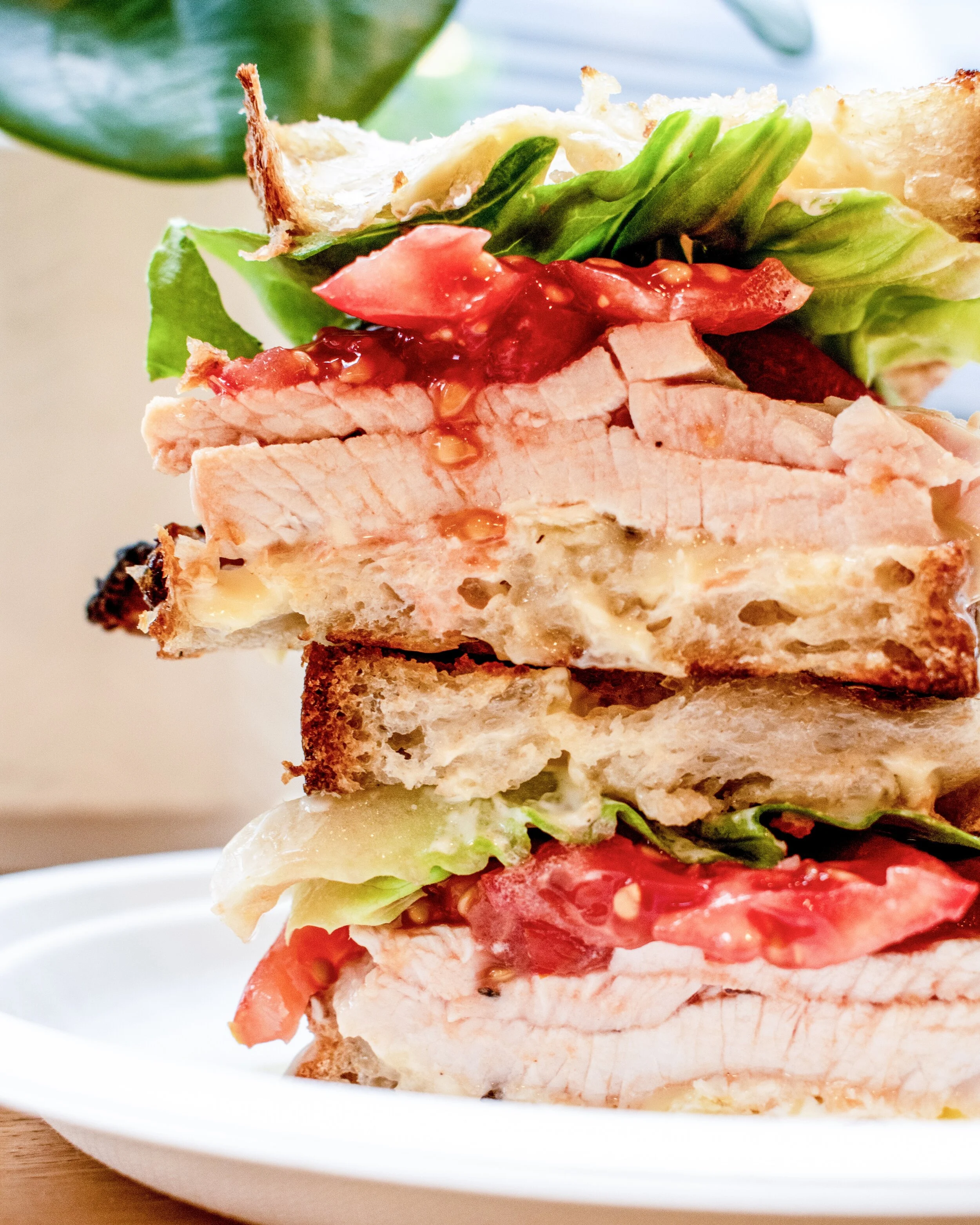 Turkey sandwich 1 photo credit Rashida Sol.jpg