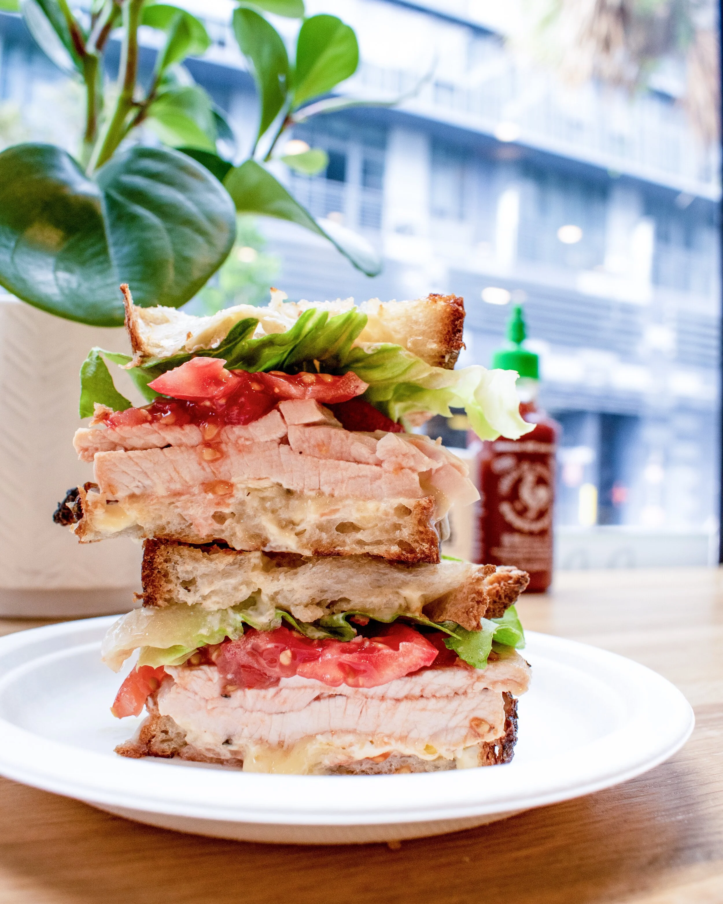 Turkey sandwich 2 photo credit Rashida Sol.jpg