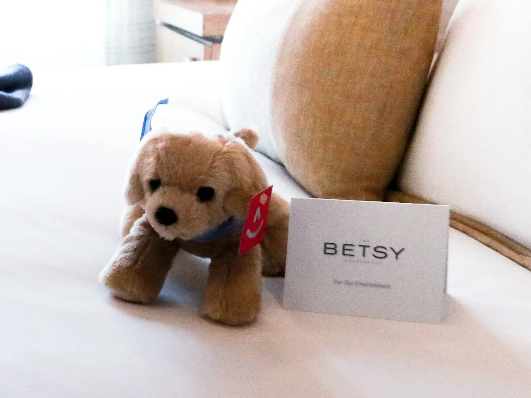 The Betsy Ross Hotel, South Beach