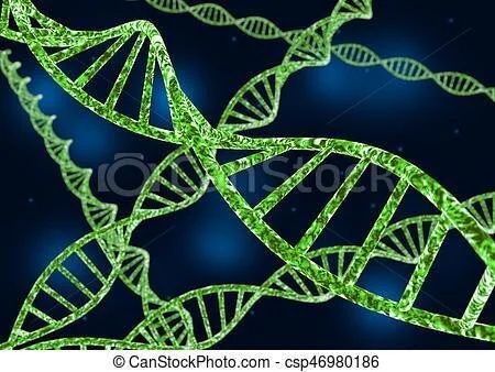 #40 PRIME TIME: Cannabis Genetics – The New Frontier