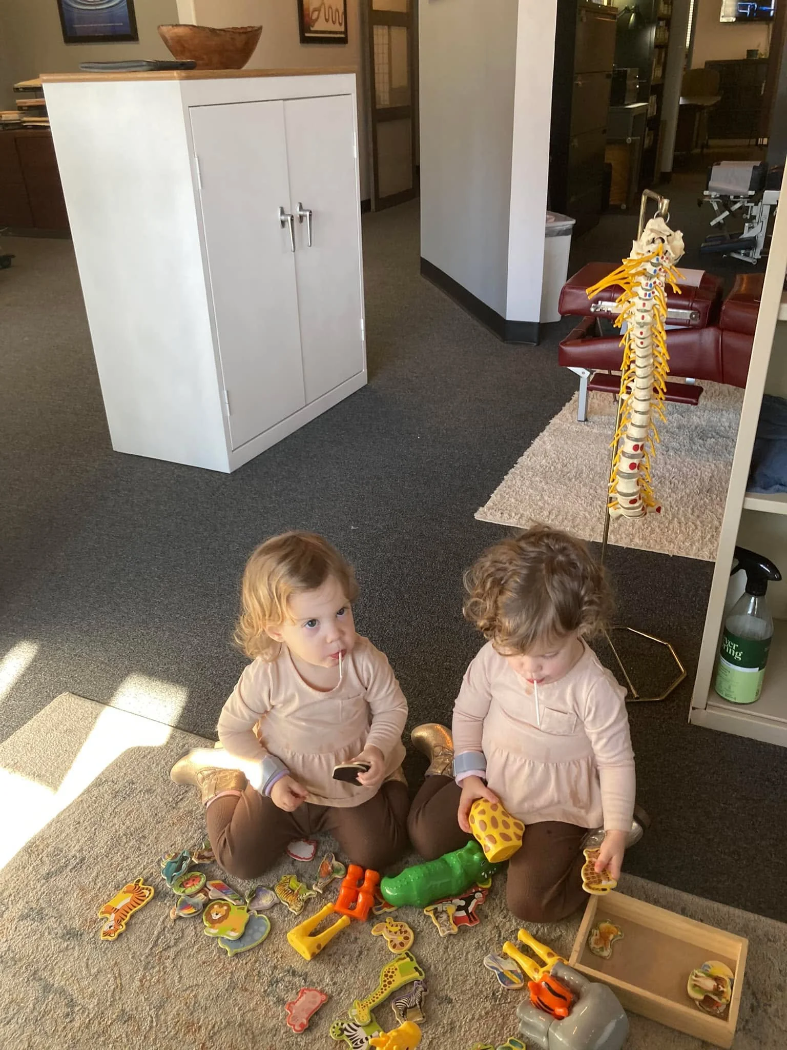 I love these miracle twins. Every time I see them I am reminded of the power of Chiropractic.  Their mom brought them in when they were just a few months old with severe constipation. Just moments after they got adjusted they both filled their diaper
