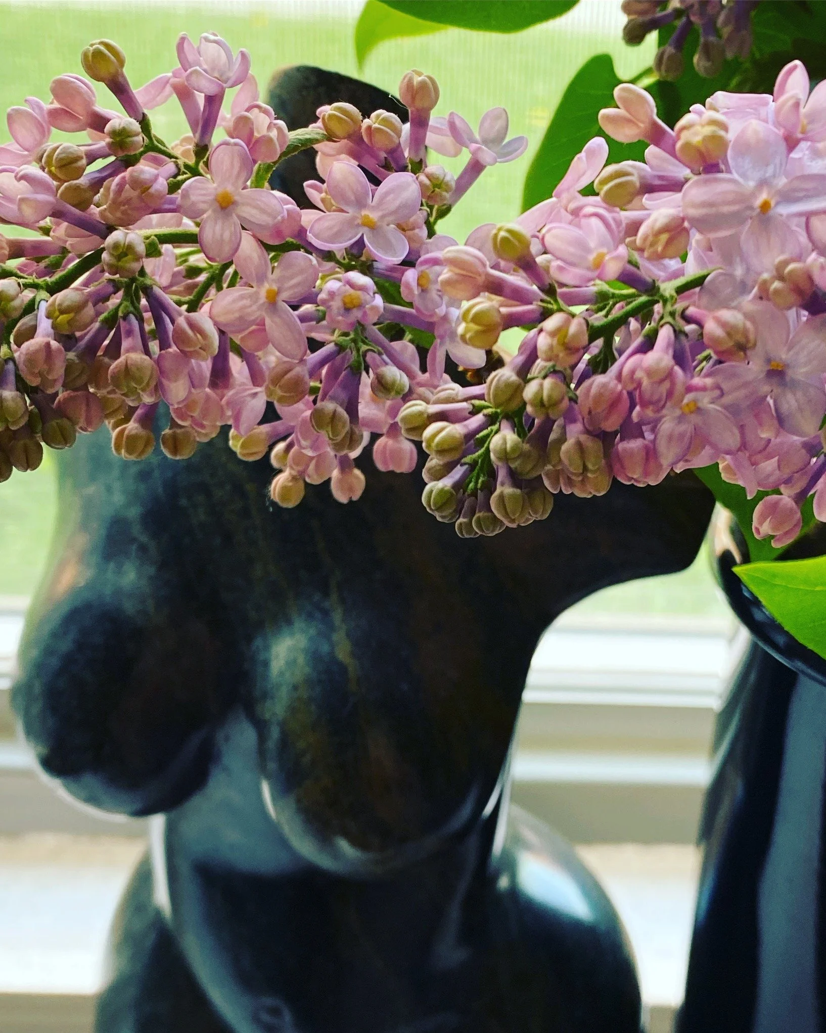 Life can feel messy and a lot at times. I am working on several different 'projects' right now and it is a lot. Busy is the adjective that truly reflects how my days are. And when I am busy I can knowingly, willfully let some things slip.

This is a 