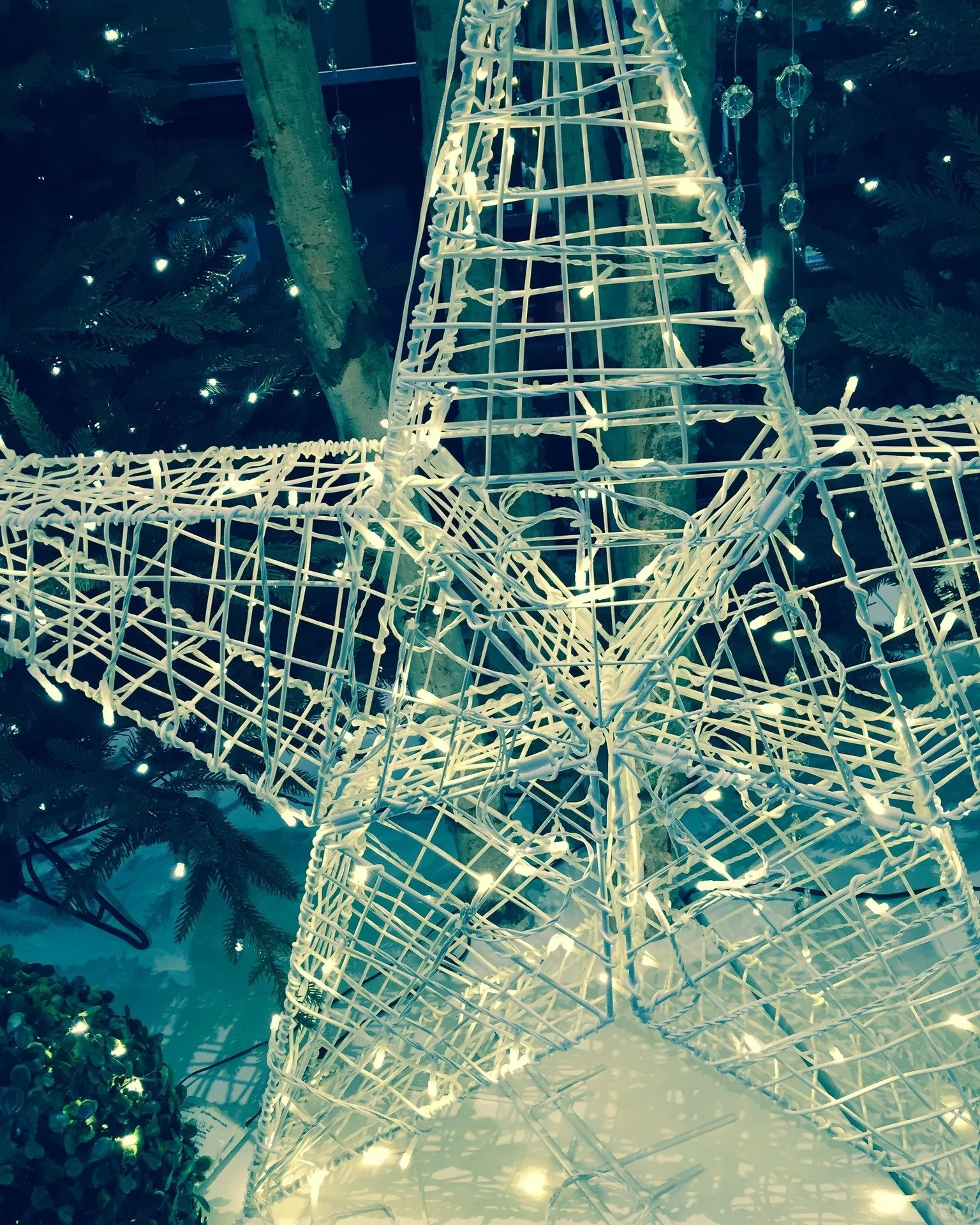 Around this time every year I think about how much we are programmed to fit in...trending Christmas trees and decor, how to cook the perfect turkey. And so much more. 

Think differently. Even if just for a moment. IMO any time you can play with colo