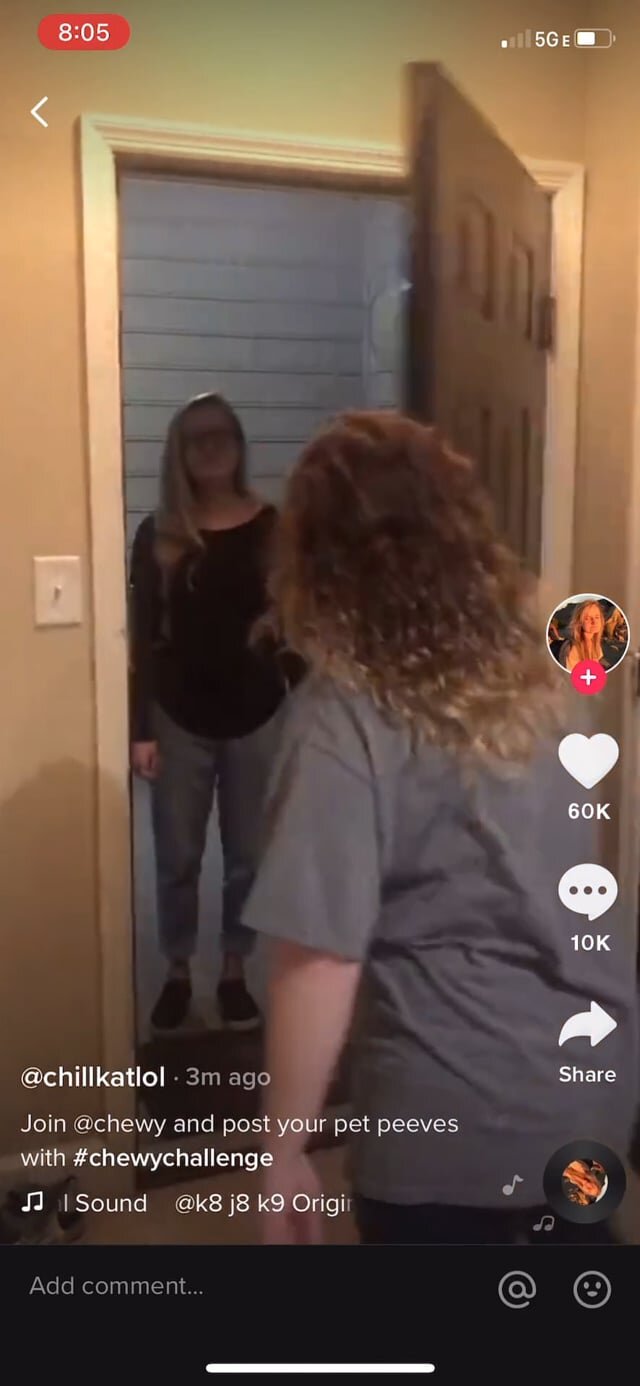 Chewy TikTok (Gossipy Birdie)