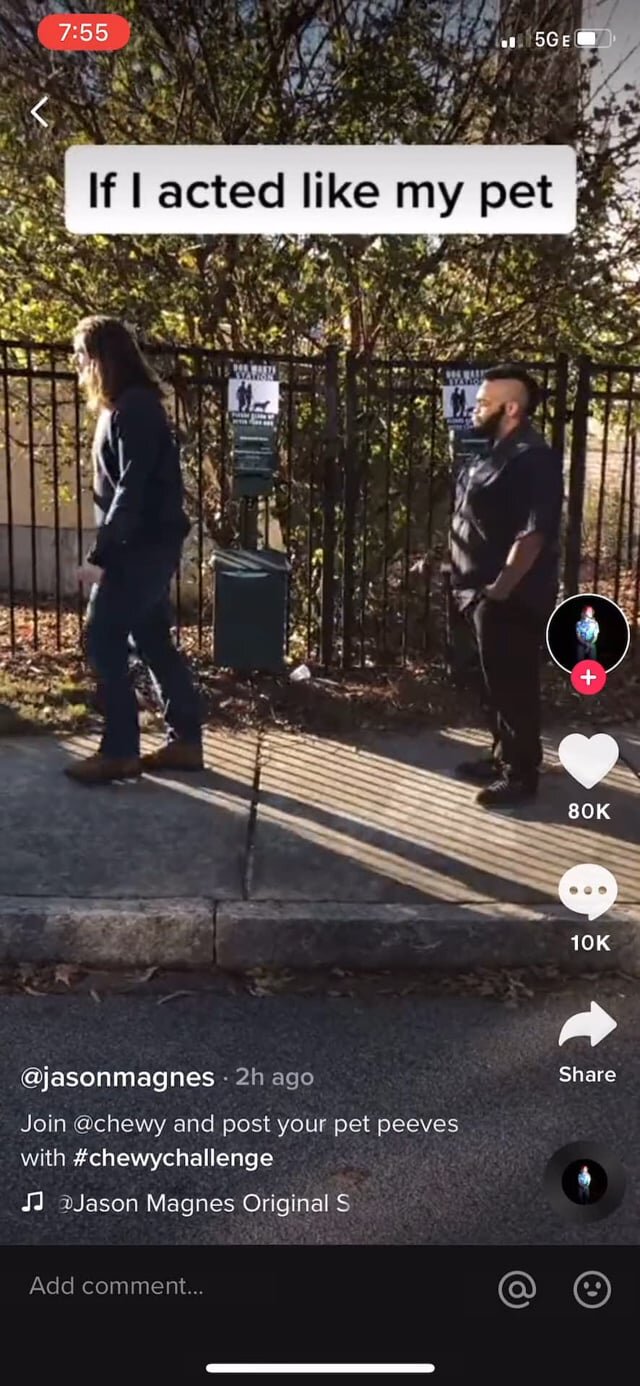 Chewy TikTok (Asshole Dog)