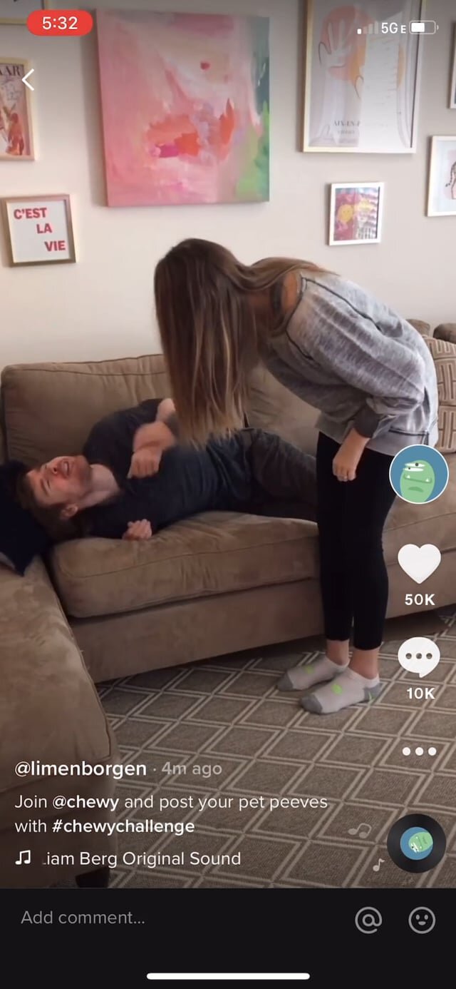 Chewy TikTok (Wacko Cat)