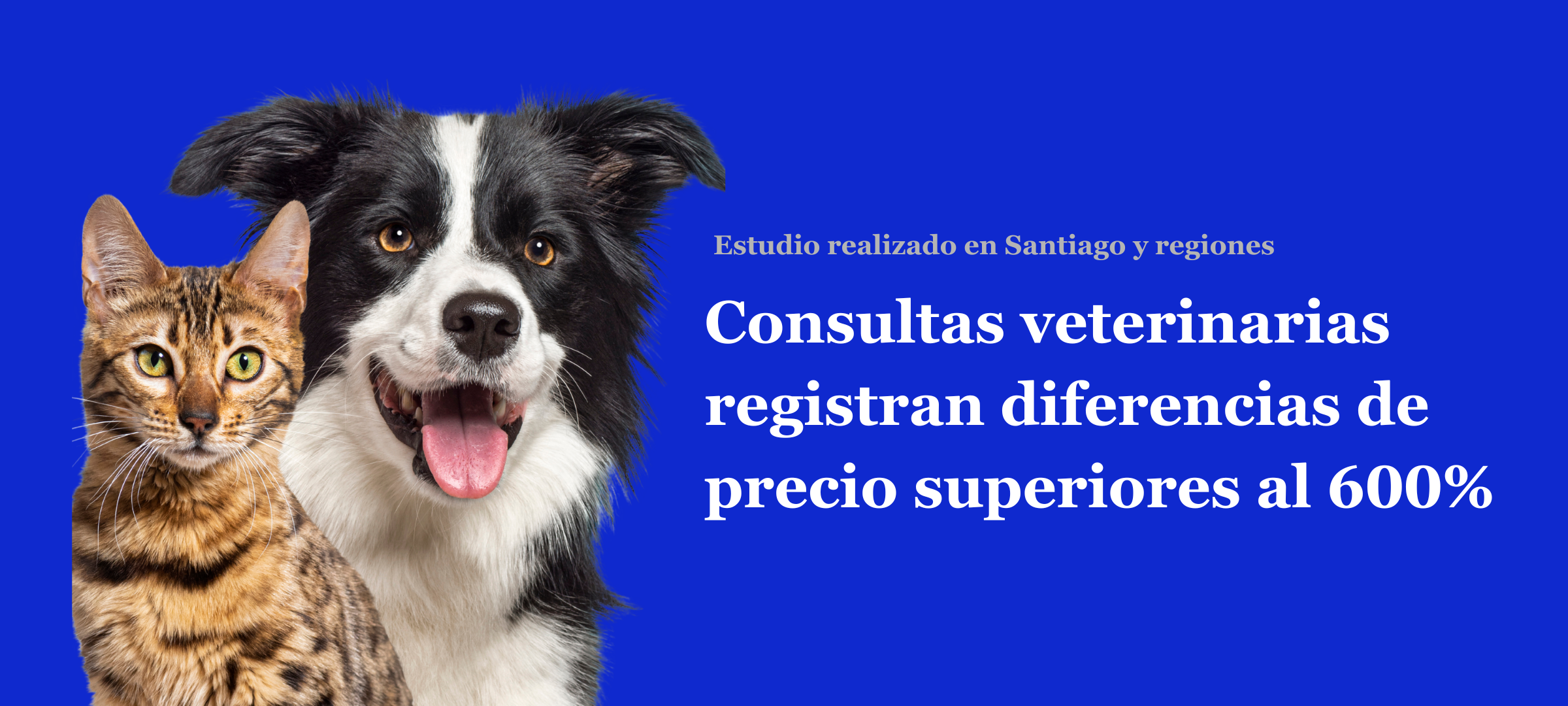 Diferencias de más de 600% en consultas veterinarias