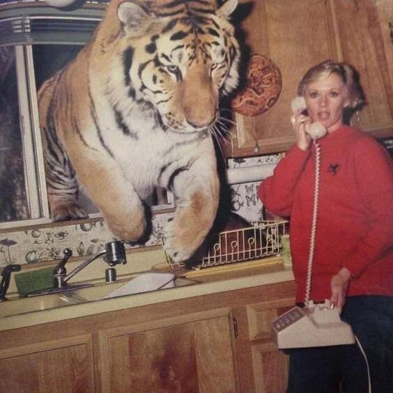 Moon Missive: Initiation by Aries