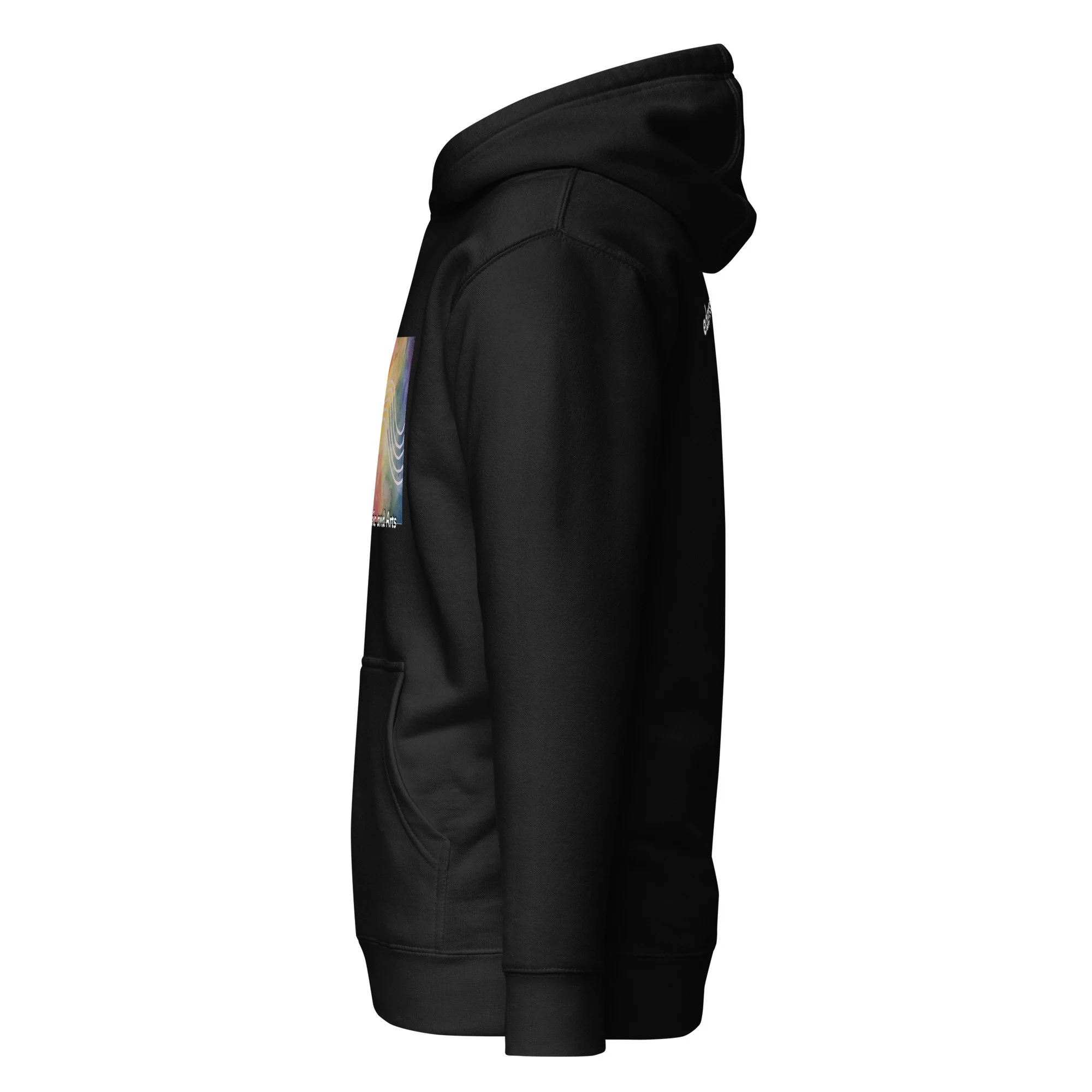 unisex-premium-hoodie-black-left-67462e3f78347.jpg