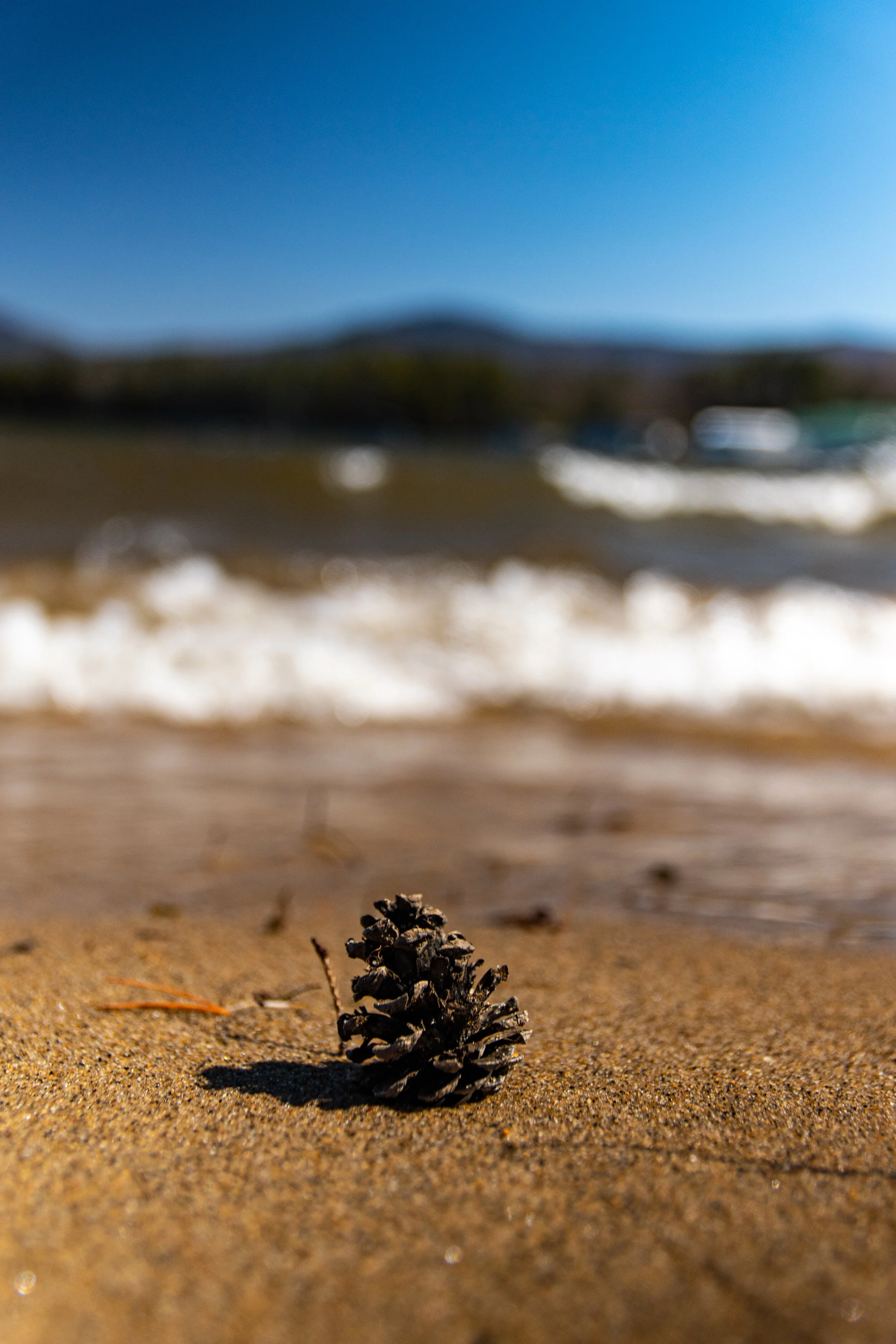 DSC_0200.jpg