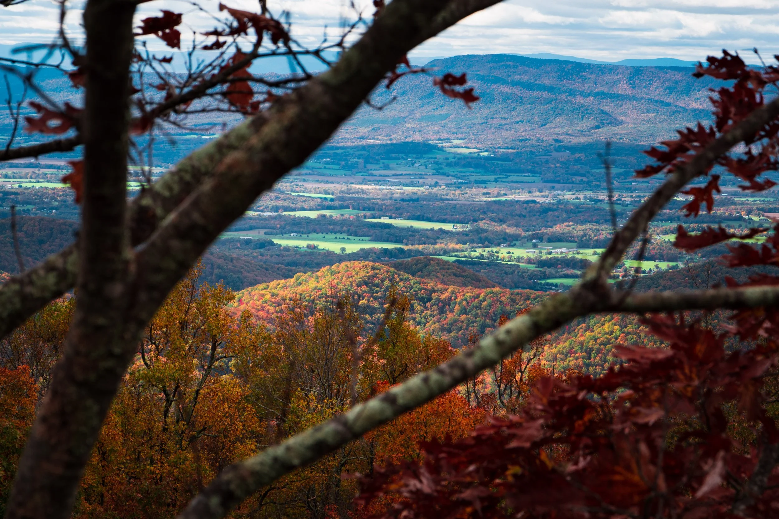 Skyline Drive 10-31-21 Edited-4.jpg