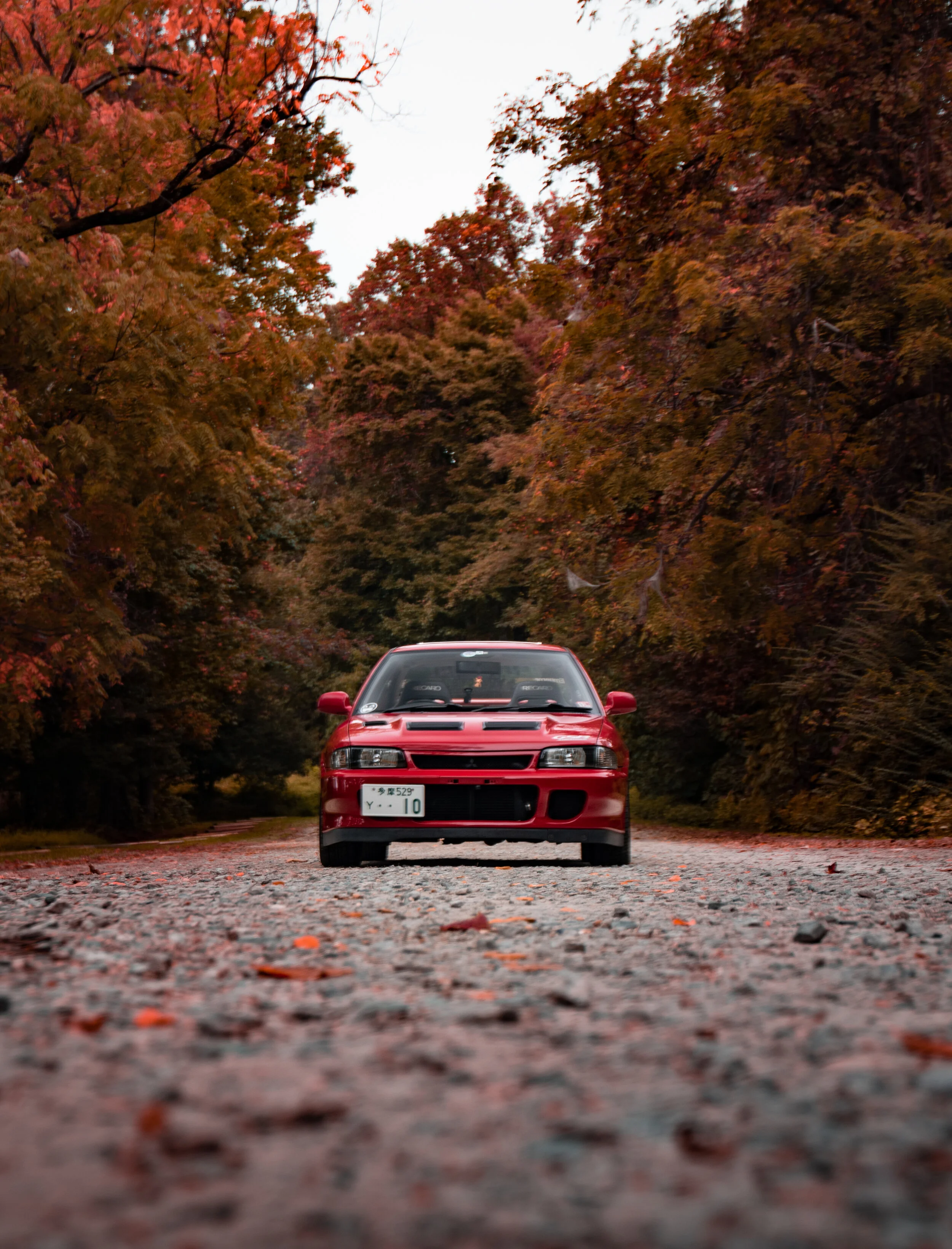 Evo II-7.jpg