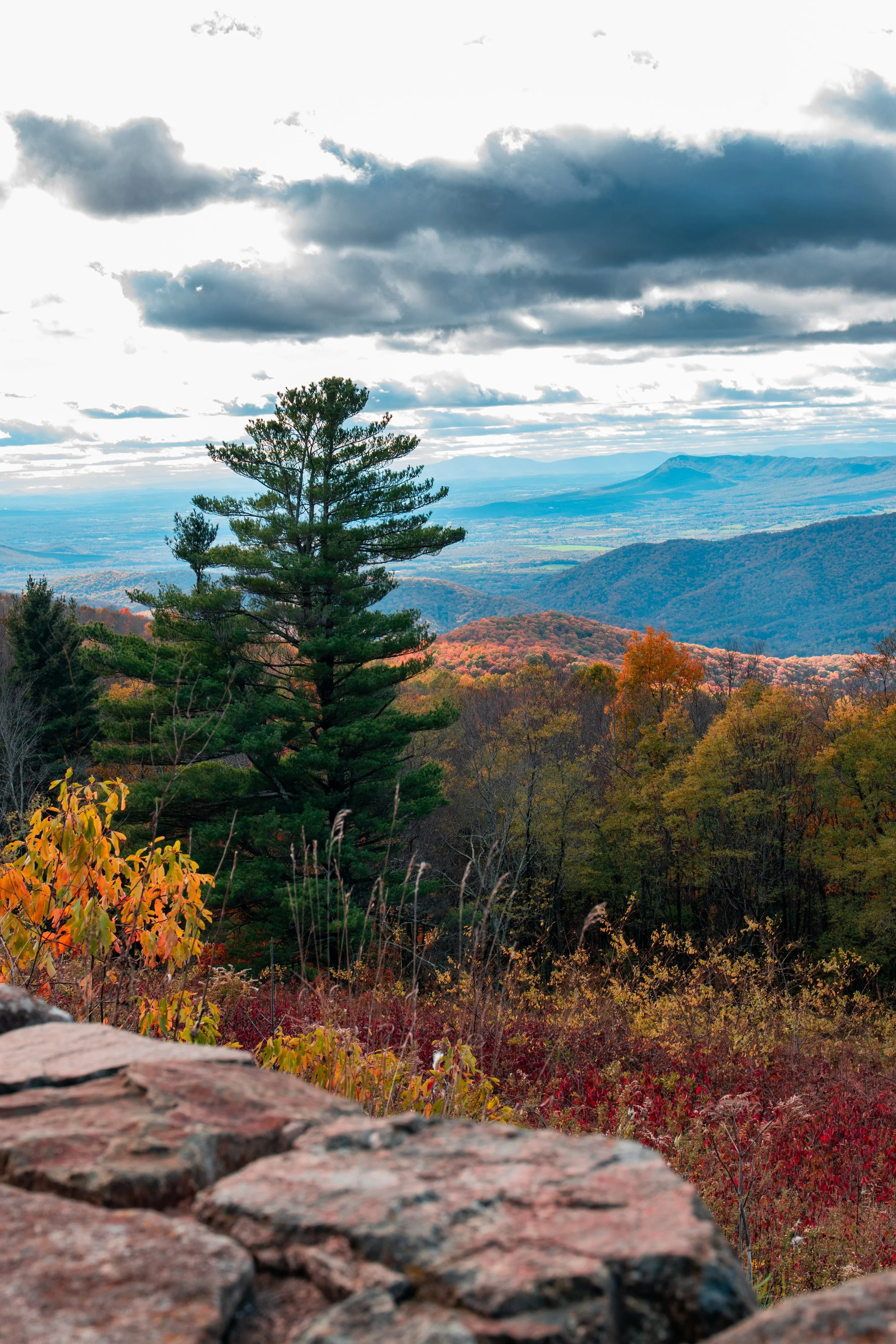 Skyline Drive 10-31-21 Edited-13.jpg