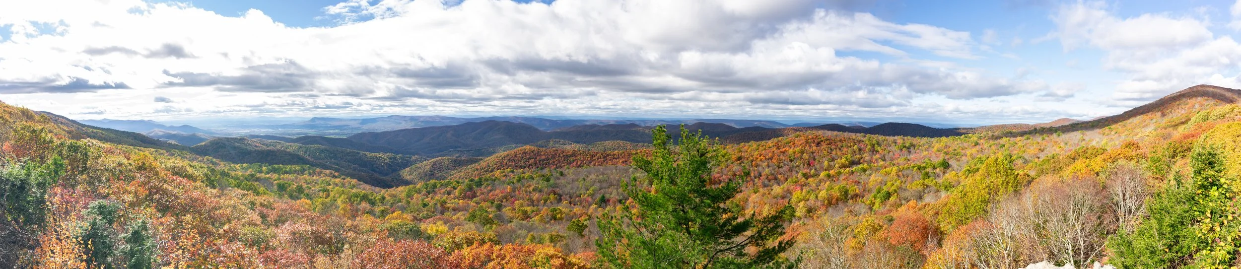 Skyline Drive 10-31-21 Edited-8.jpg
