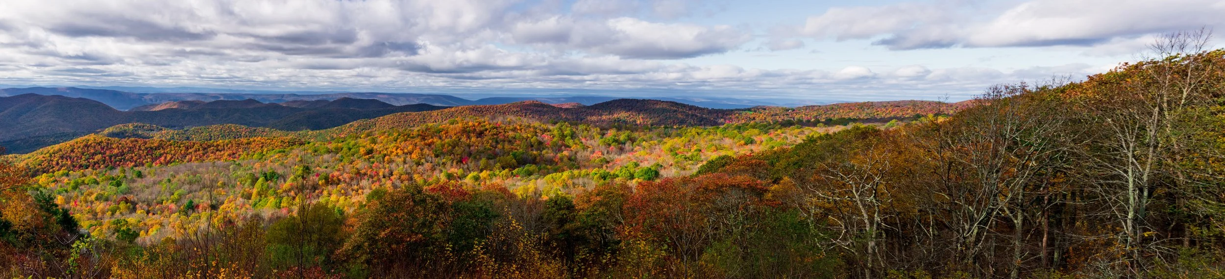 Skyline Drive 10-31-21 Edited-7.jpg